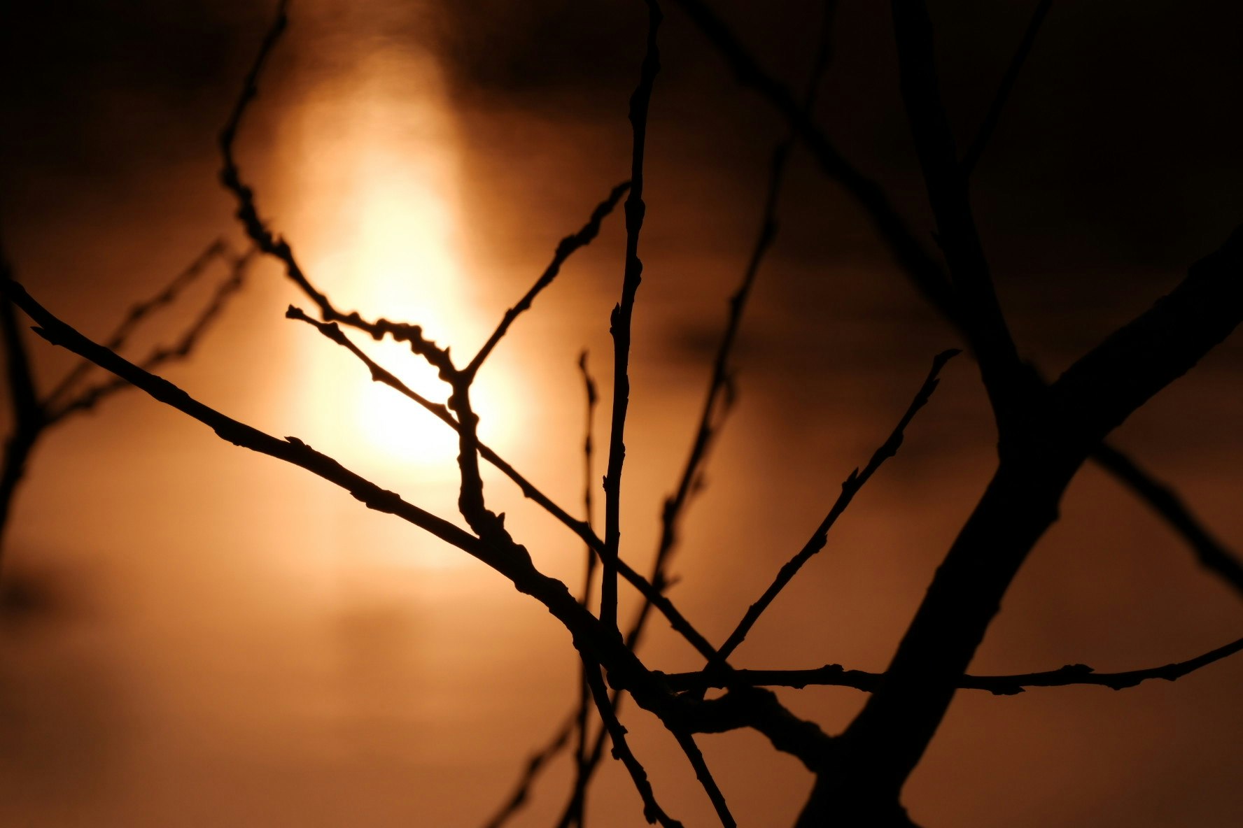crepuscolo invernale sul fiume Enji con rami spogli in controluce