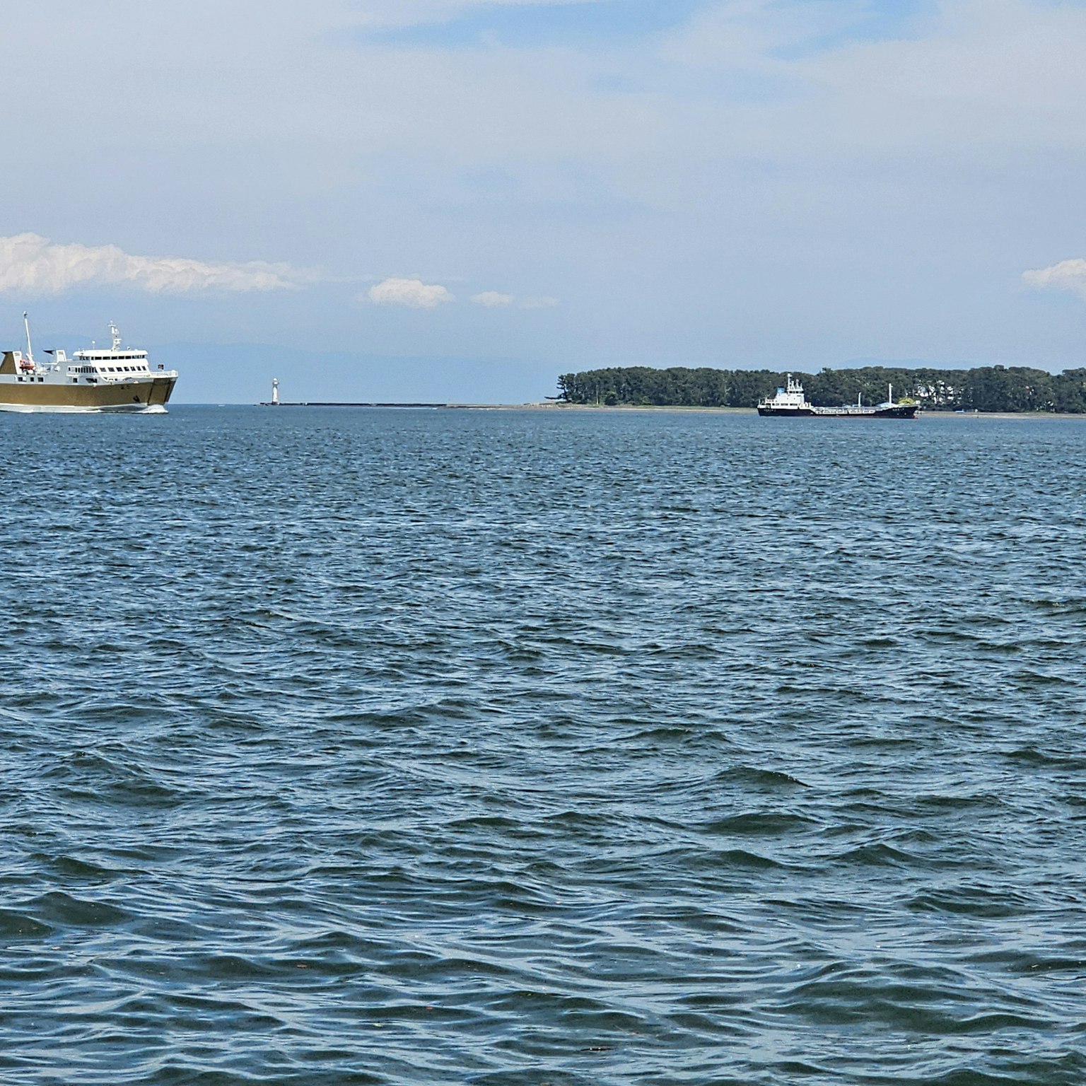 Blick auf das Meer mit einem Schiff in der Ferne