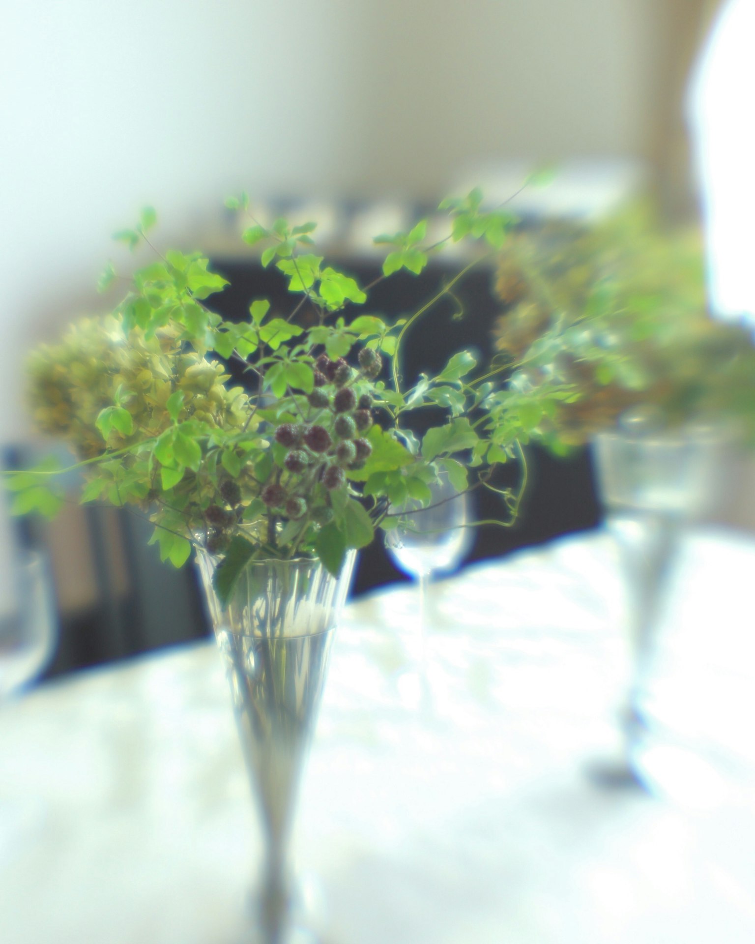 Green plants and bunches of grapes arranged in clear vases