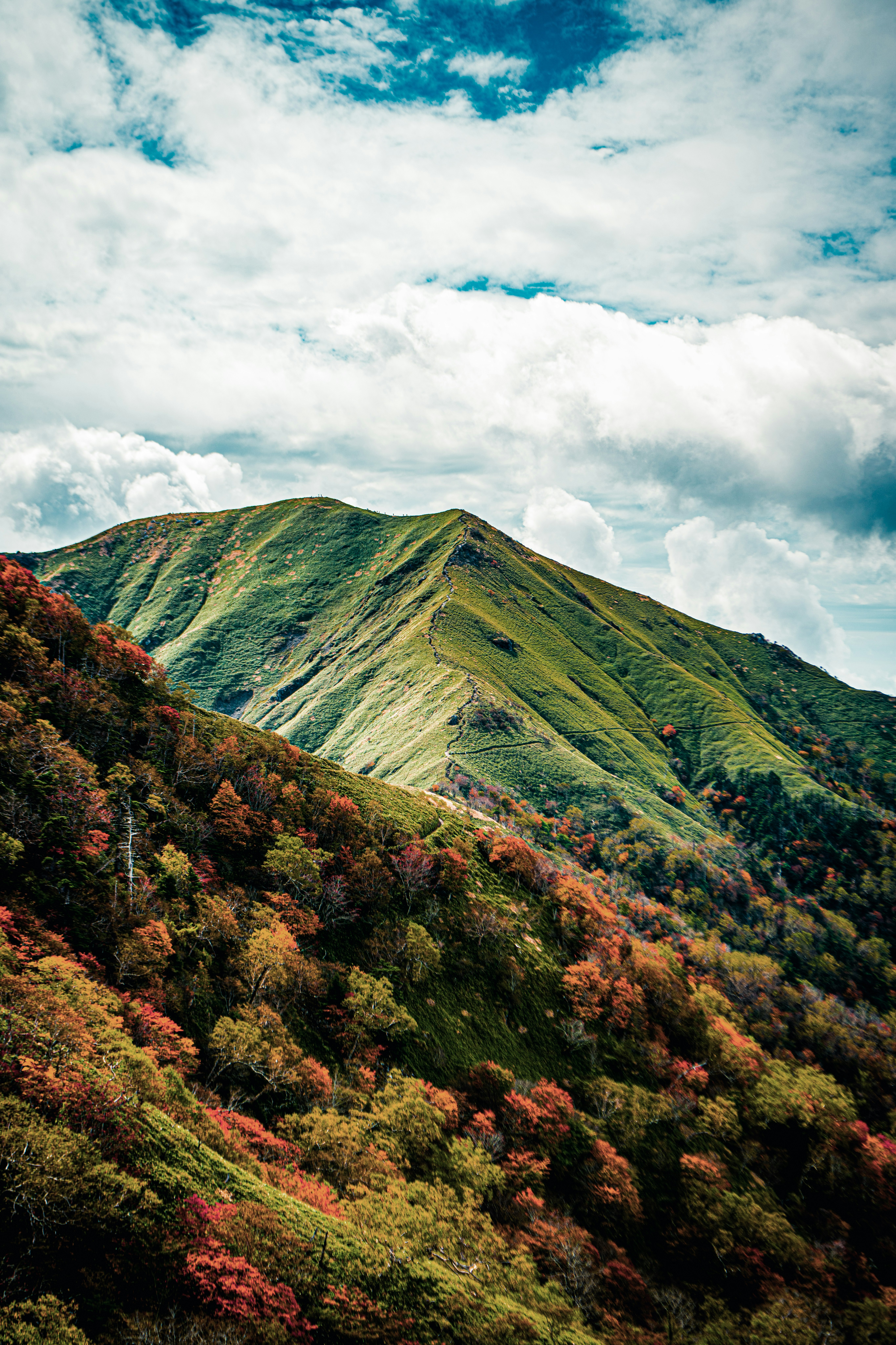 photo-NK8v5RVgvhUFFNxsESS2-image