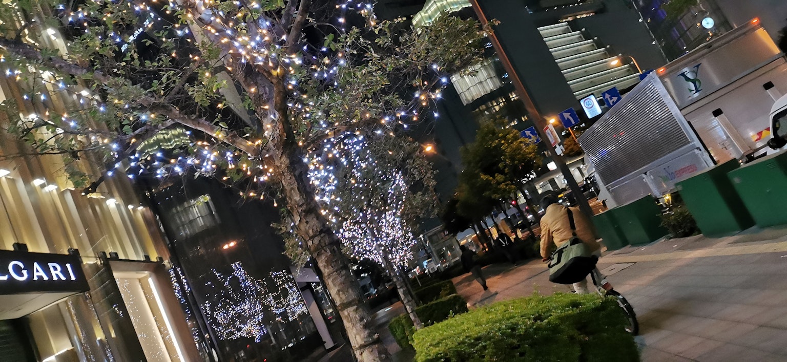 Paesaggio urbano notturno con alberi illuminati e negozi di lusso
