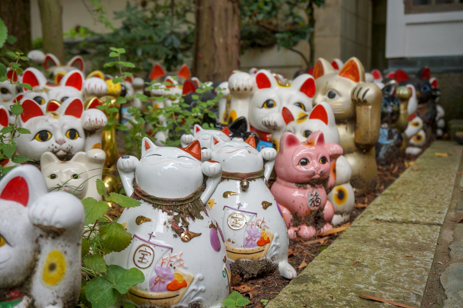Una colección de figuras de gatos de la suerte de cerámica dispuestas en un jardín