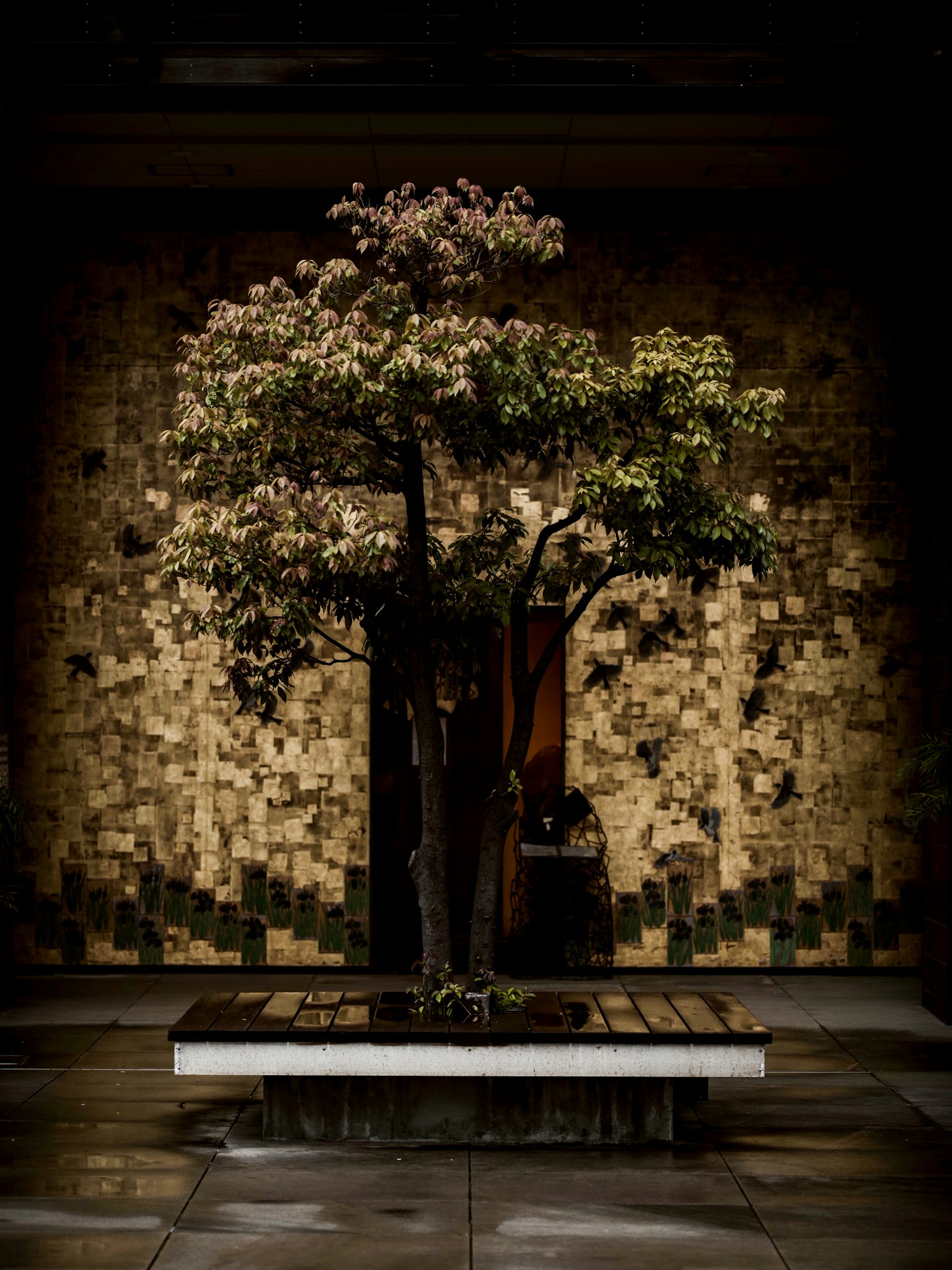 Un hermoso árbol contra un fondo oscuro con texturas circundantes