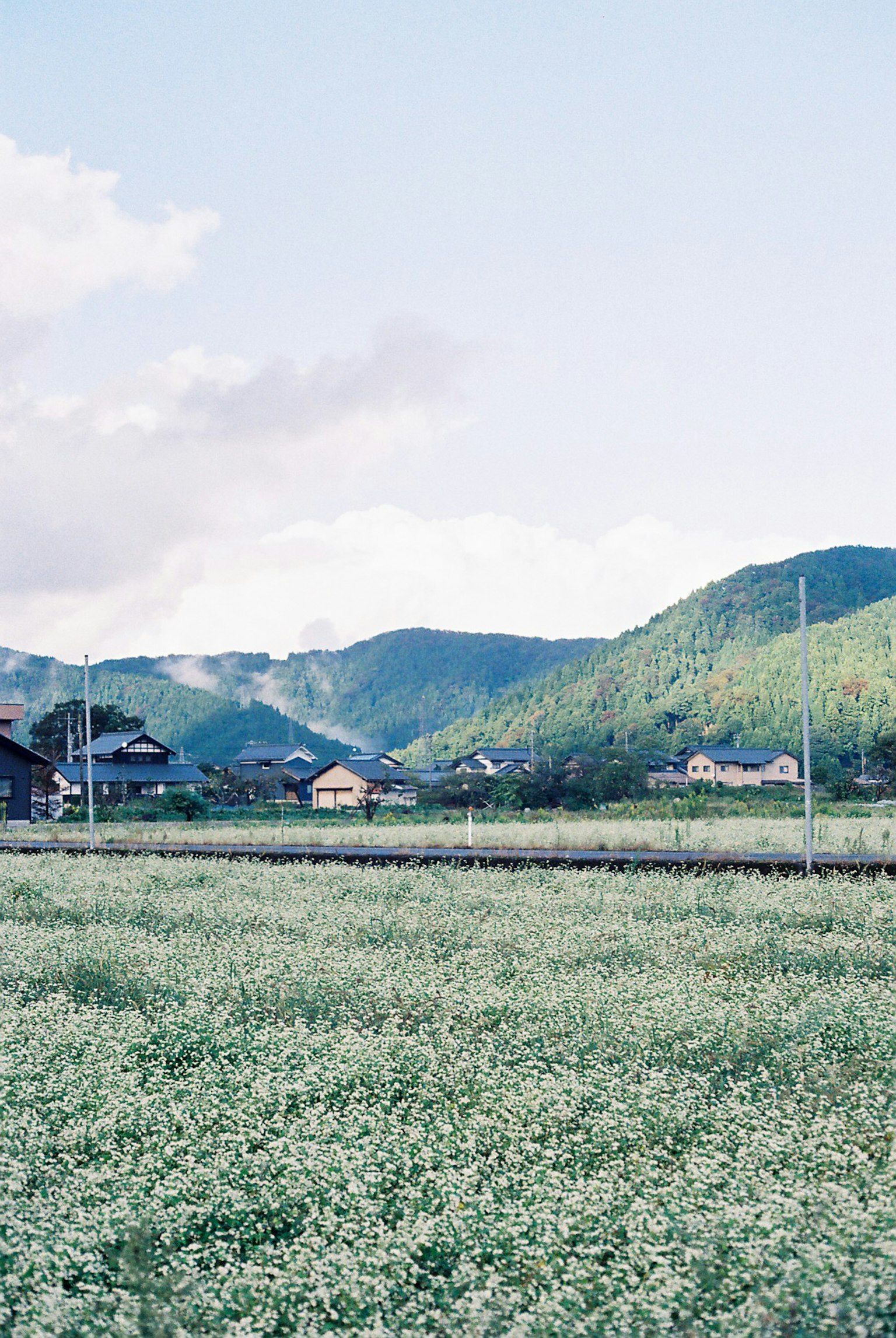 Vast field with beautiful mountains and small houses in the background