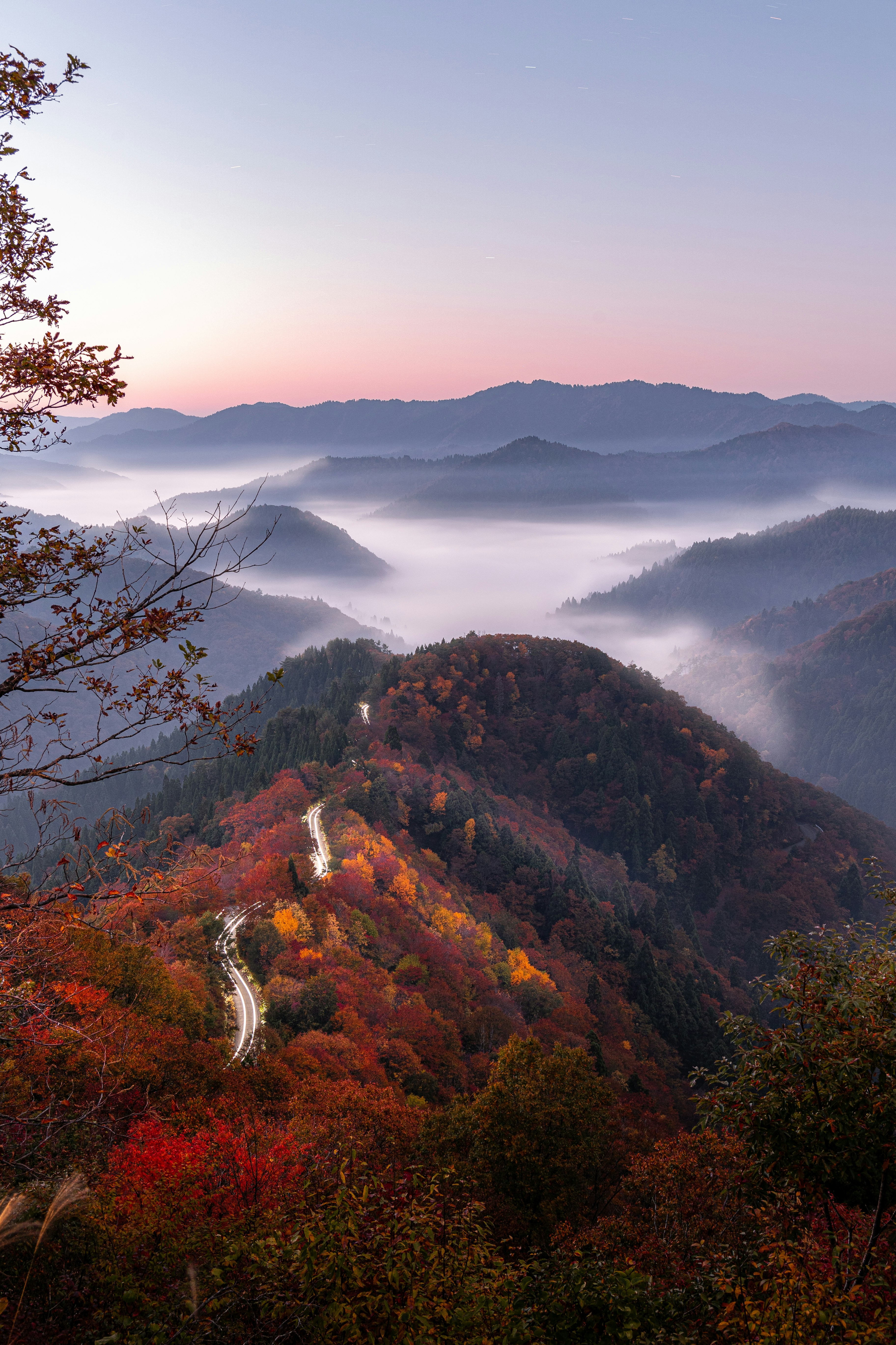霧に包まれた山並みと紅葉の渓谷の眺望