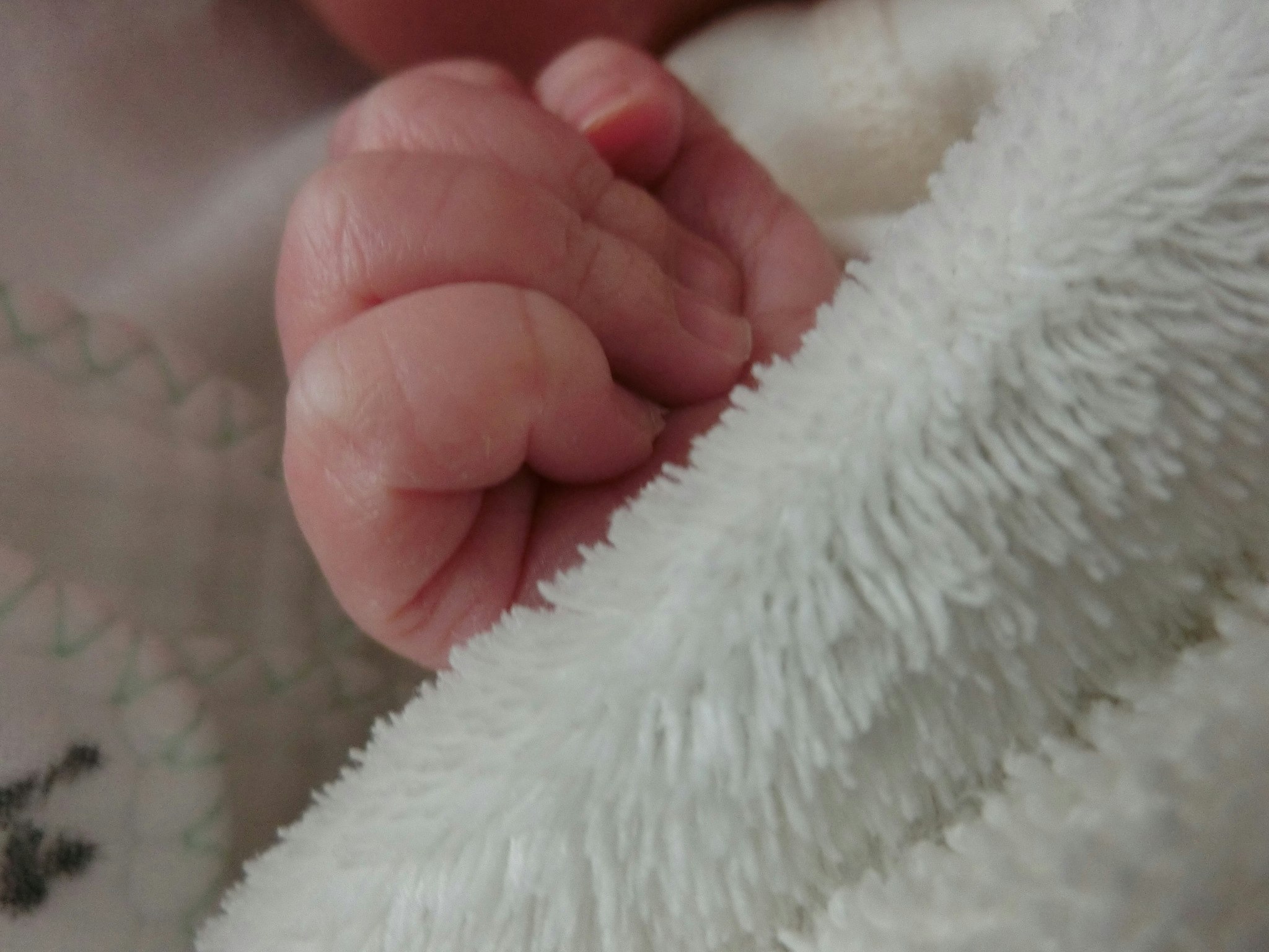 母の手に包まれた新生児の小さな手と赤ちゃんの肌