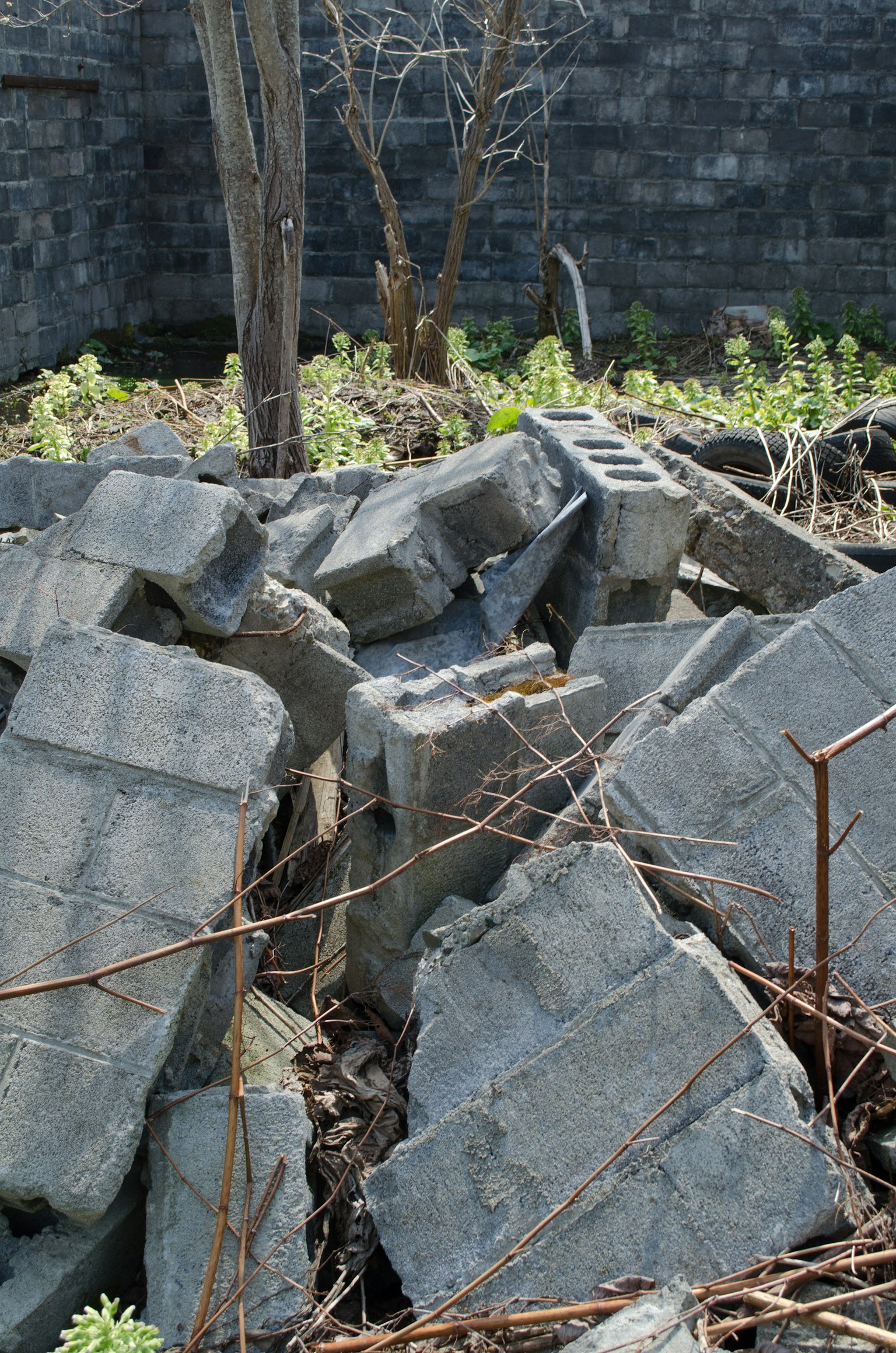 Piled concrete blocks in a neglected area with a barren tree