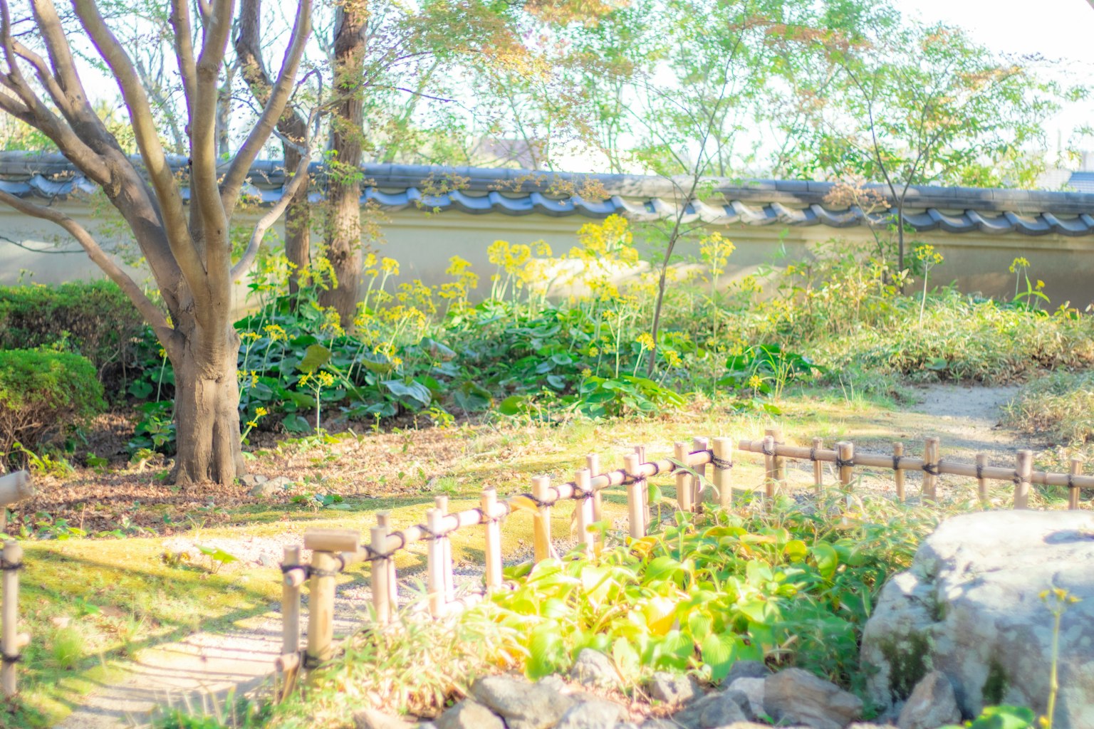 Serene garden landscape with greenery trees stone path and fence