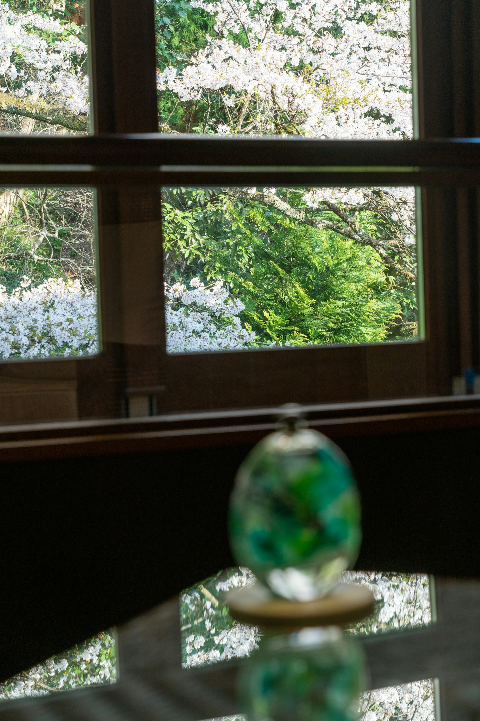 photo-NNqrqnQxIqxNxi8kqJmR-image