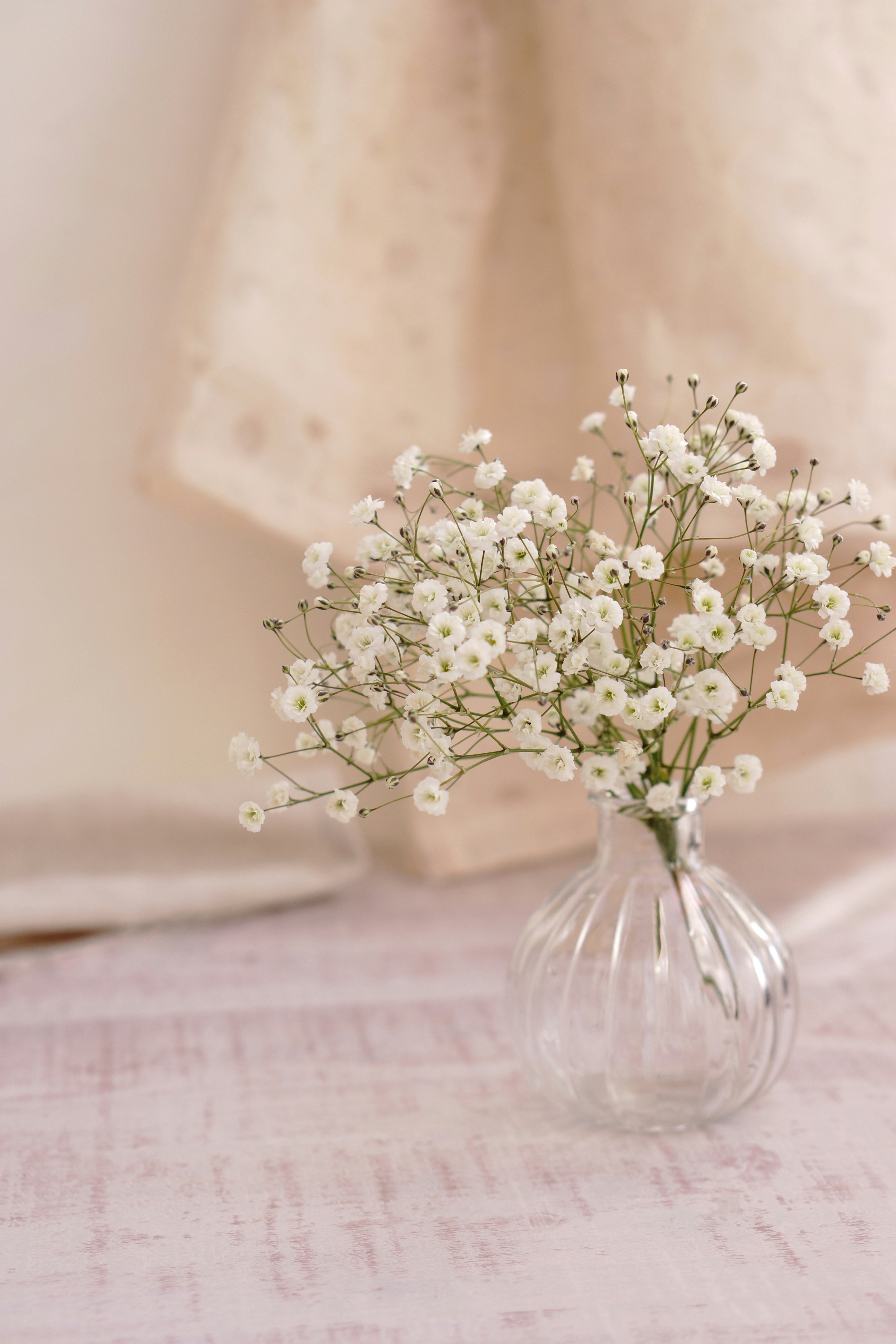 bouquet of small white flowers on soft pink fabric