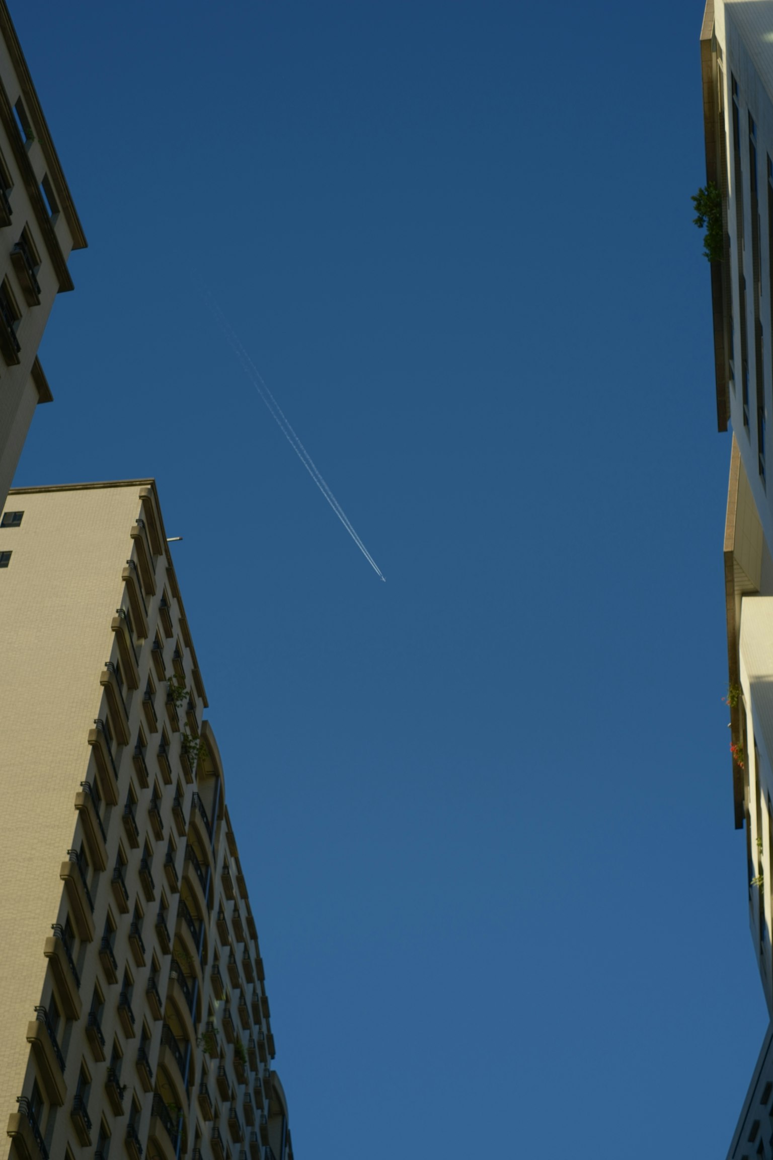 青空の中に飛行機雲が見える高層ビルの間の風景