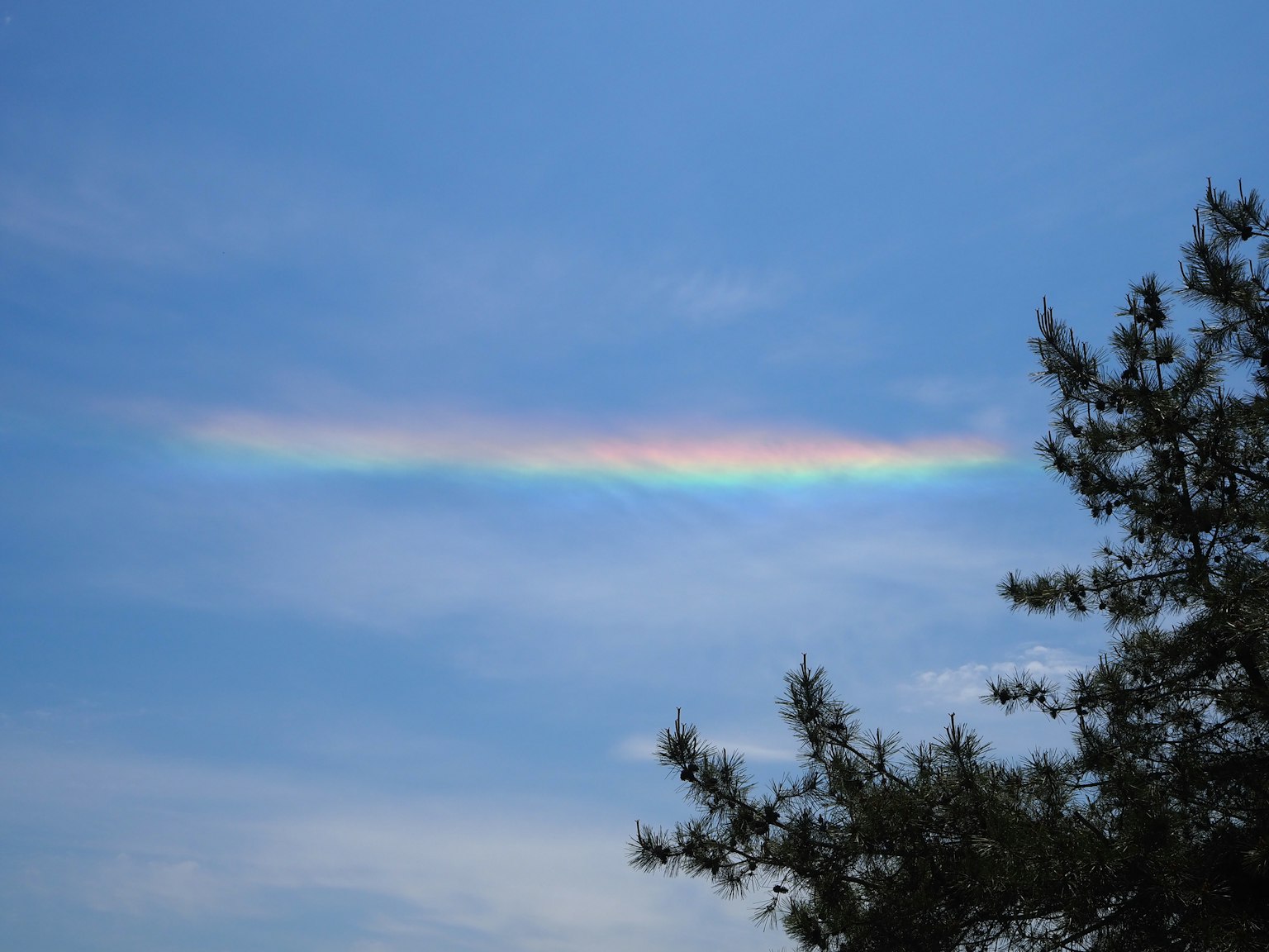 Eine regenbogenfarbene Wolke in einem blauen Himmel mit Baumsilhouetten