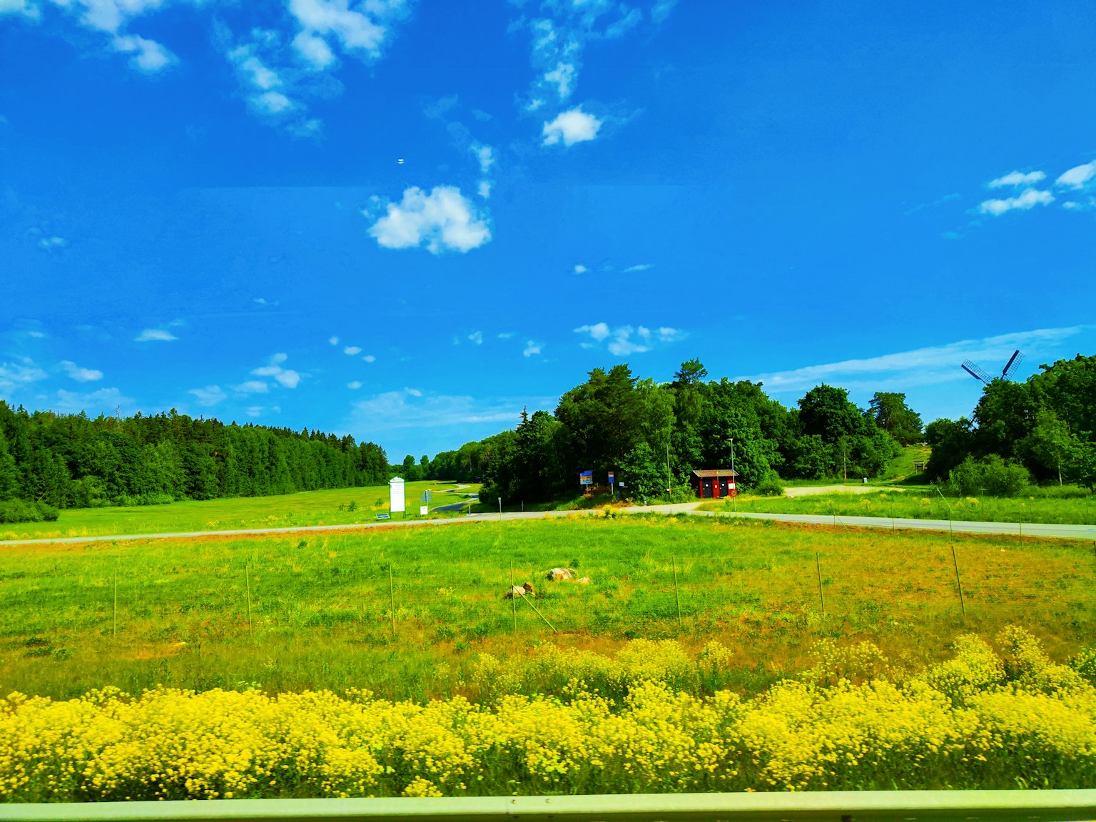 A vibrant landscape featuring a blue sky green fields and yellow flowers