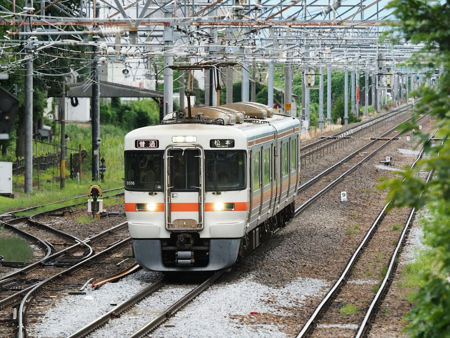 Train on railway tracks with green surroundings
