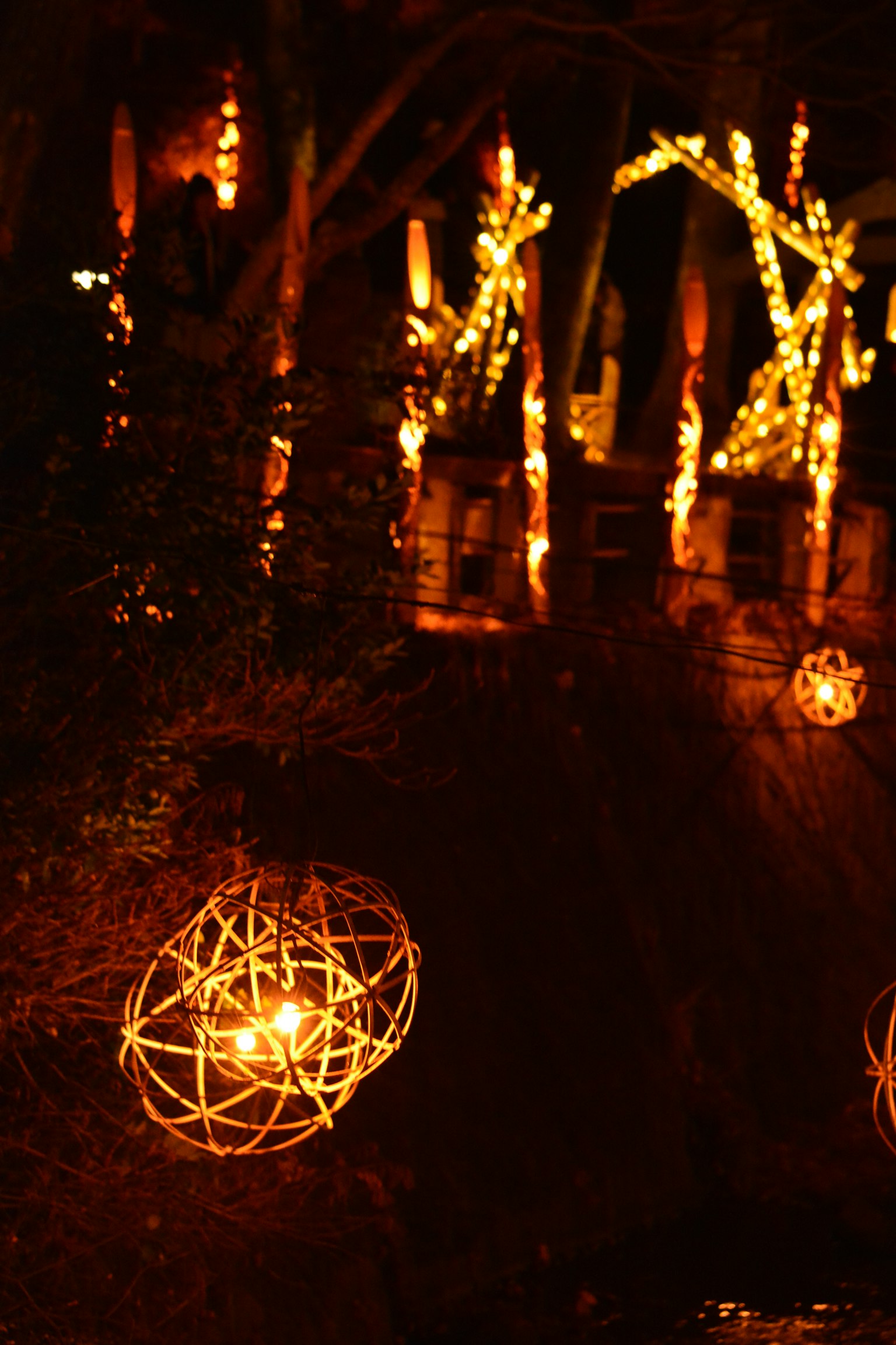 Warm glowing orbs in a dark garden setting