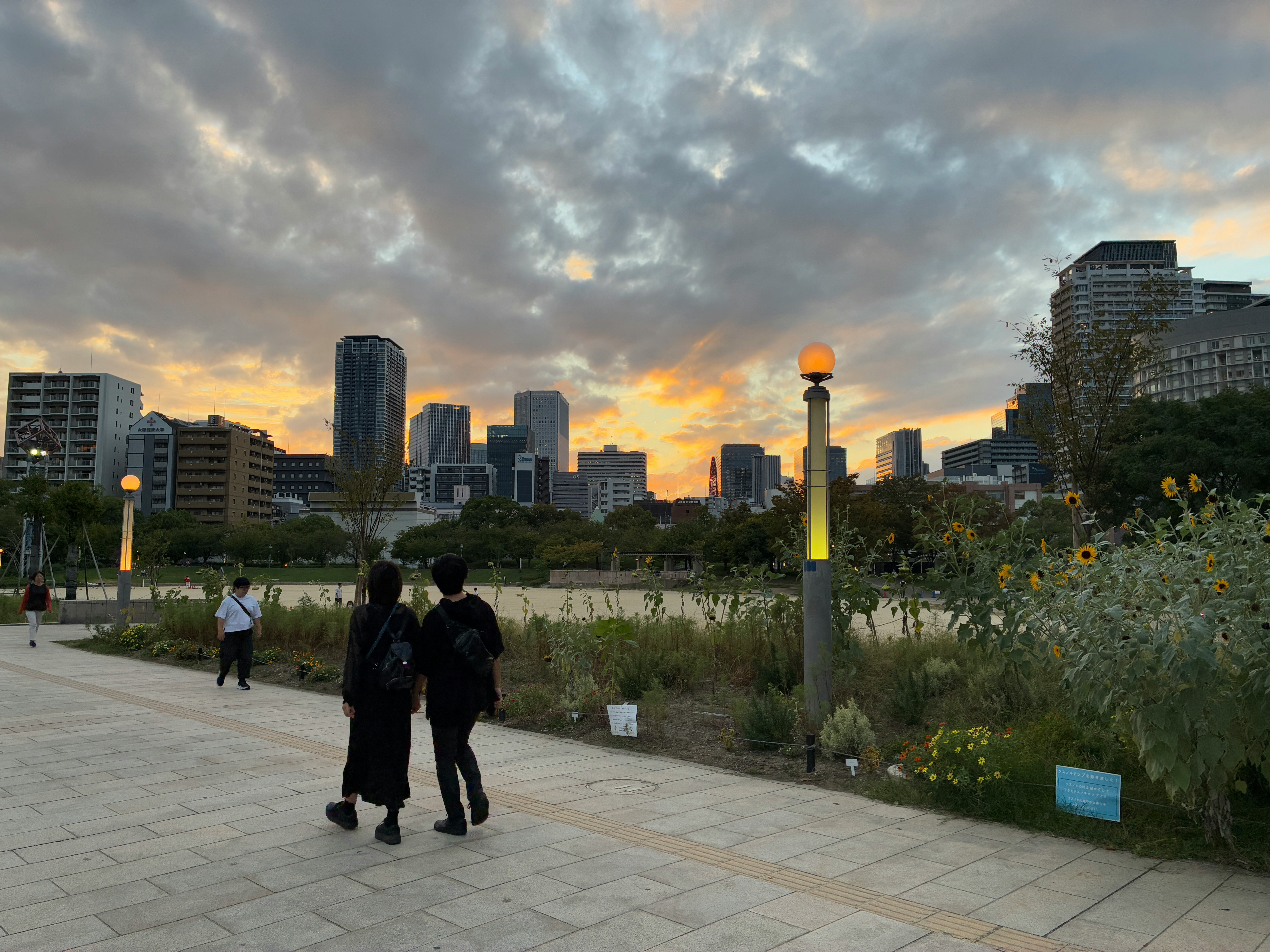 扇町公園の夕焼け空と花壇のある遊歩道