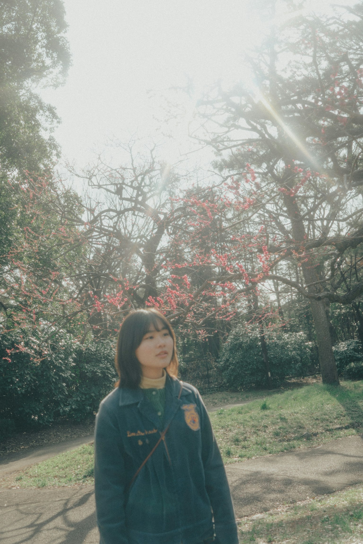 A woman standing in a park in front of cherry blossom trees