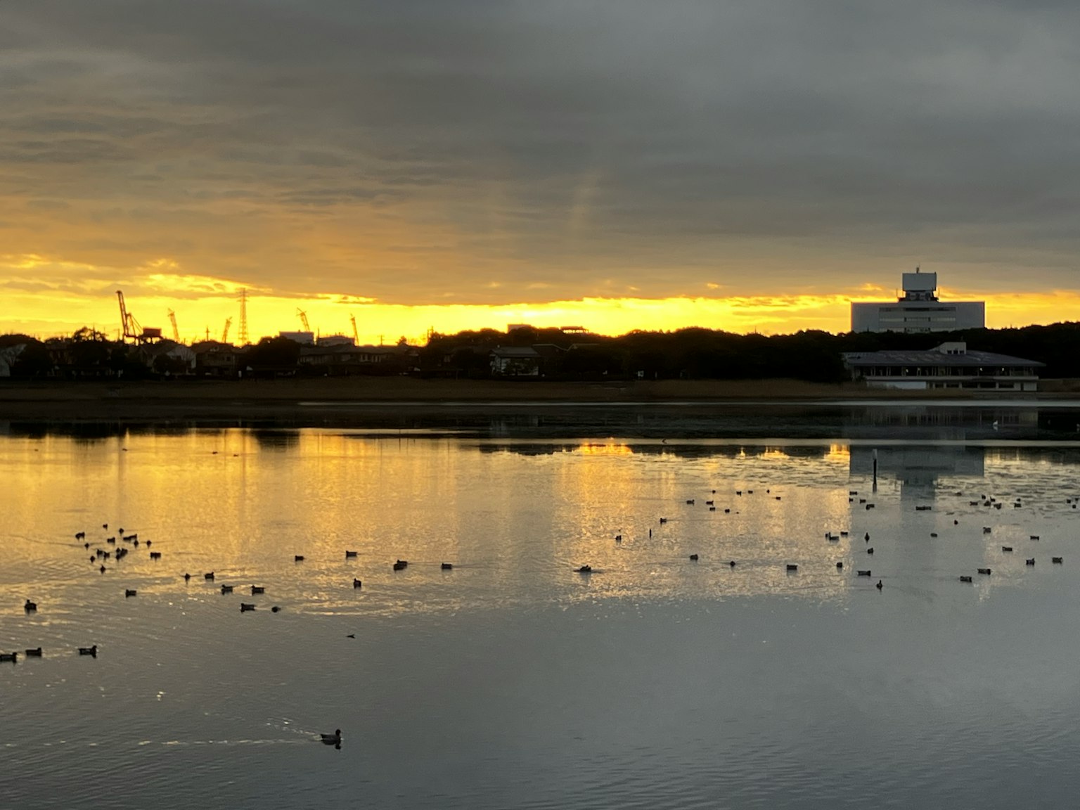 Sunset reflecting on calm water with distant buildings