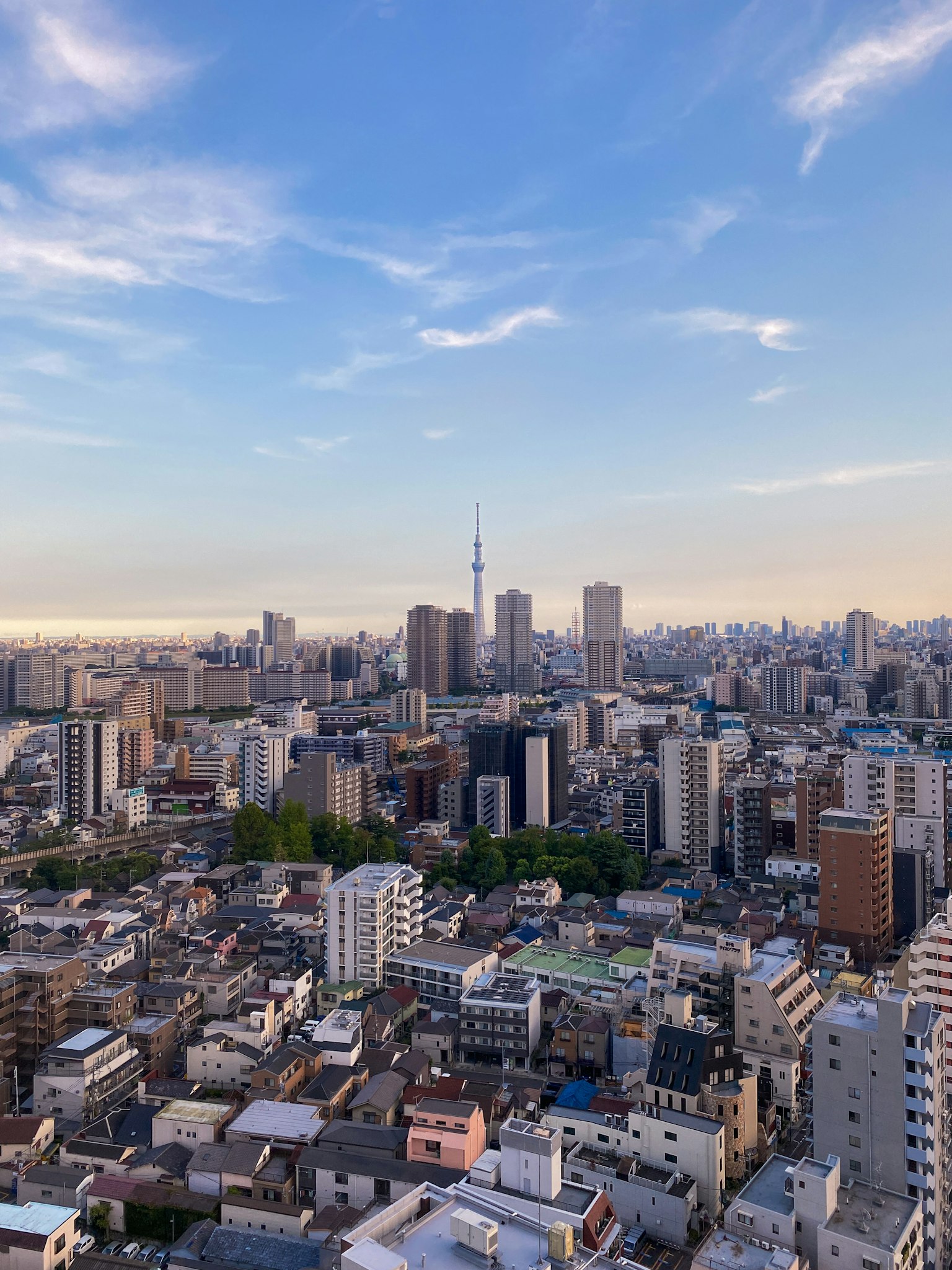 东京城市景观，展现东京塔