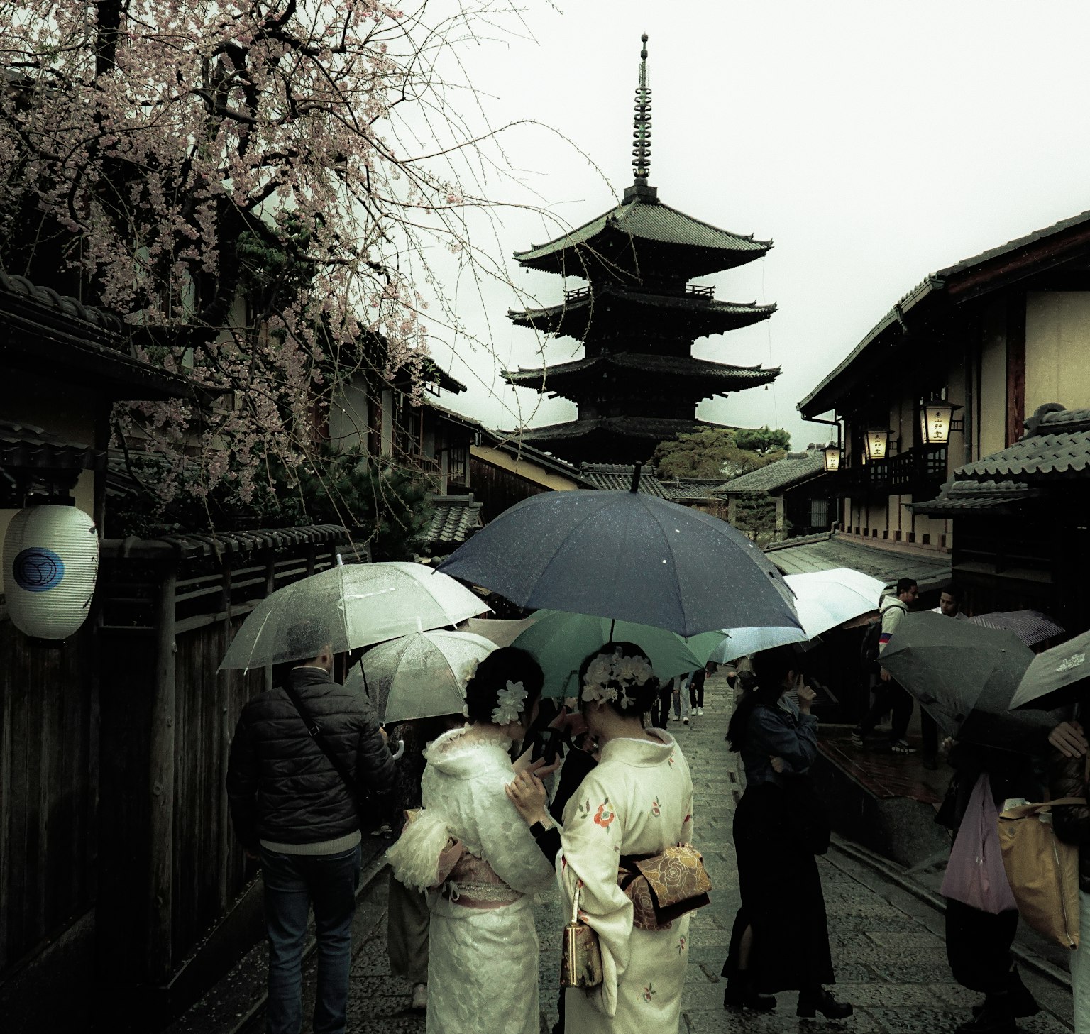 Frauen in Kimonos, die unter Regenschirmen mit einer Pagode im Hintergrund gehen