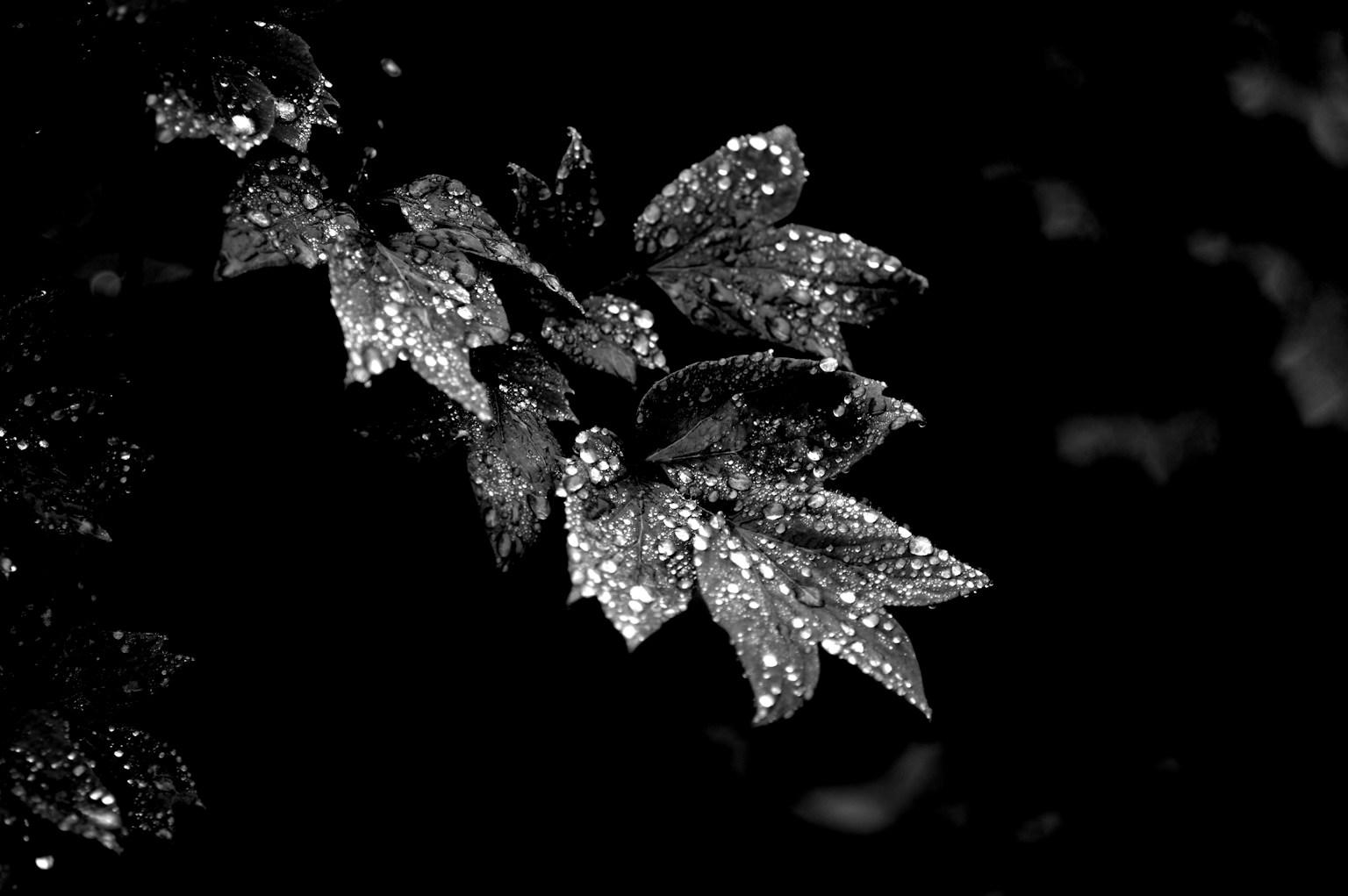 photo-NTRm6FwX5XxnnVxZ2uqq-image