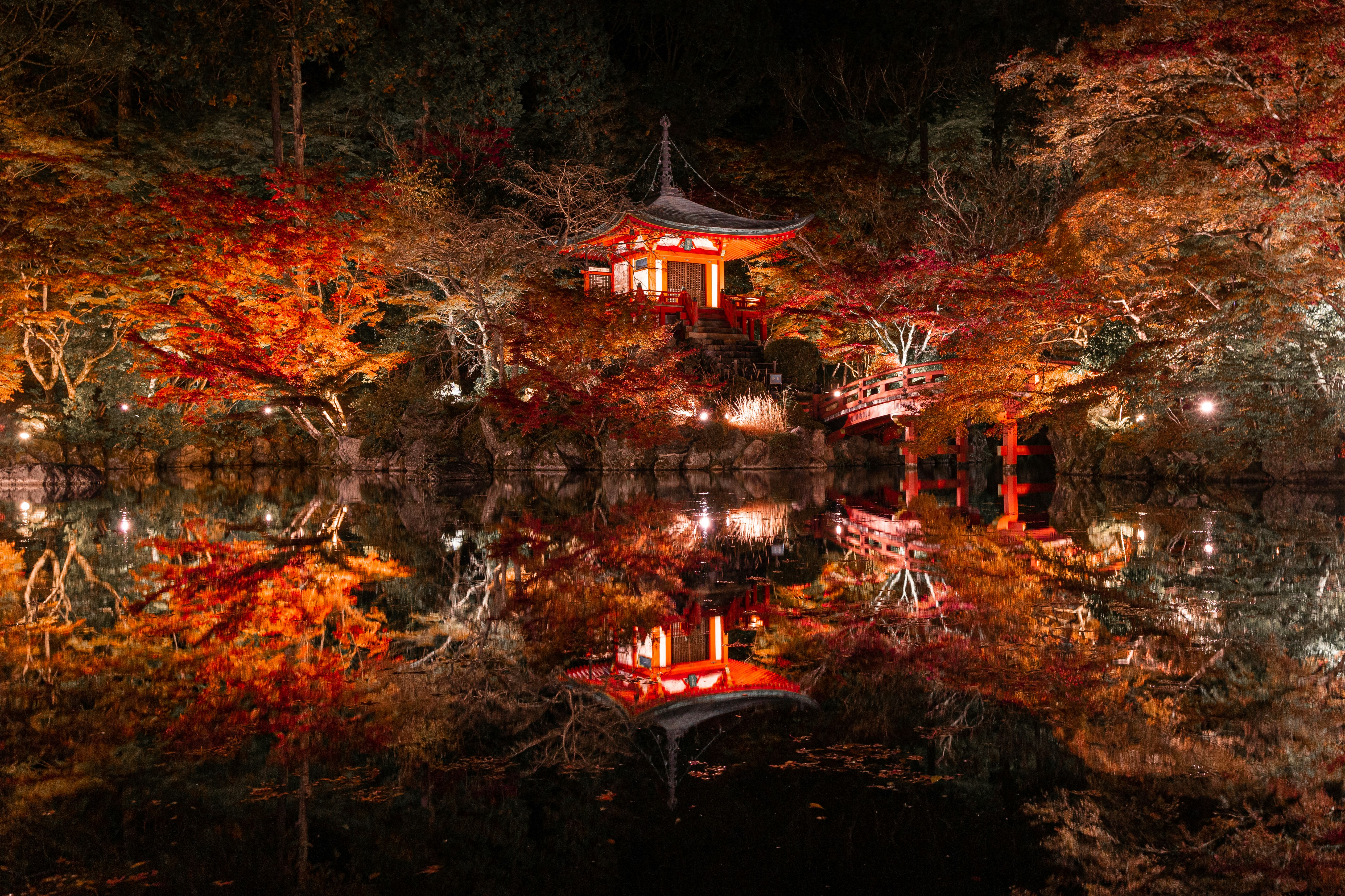 紅葉の庭園に灯る朱色の灯篭と小さな社殿の夜景