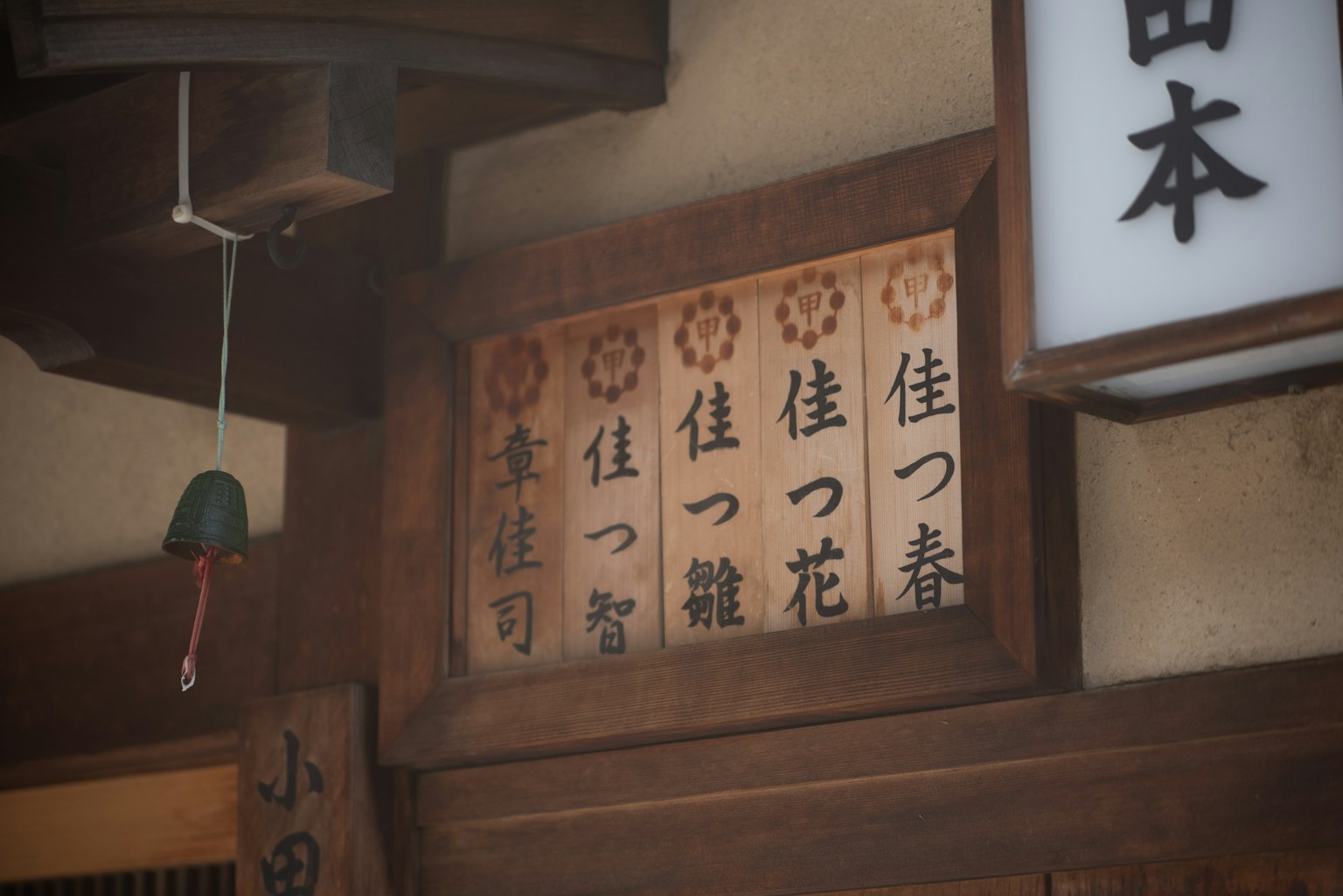 photo-NUO0u1zfqzNzXoQqVGn4-image