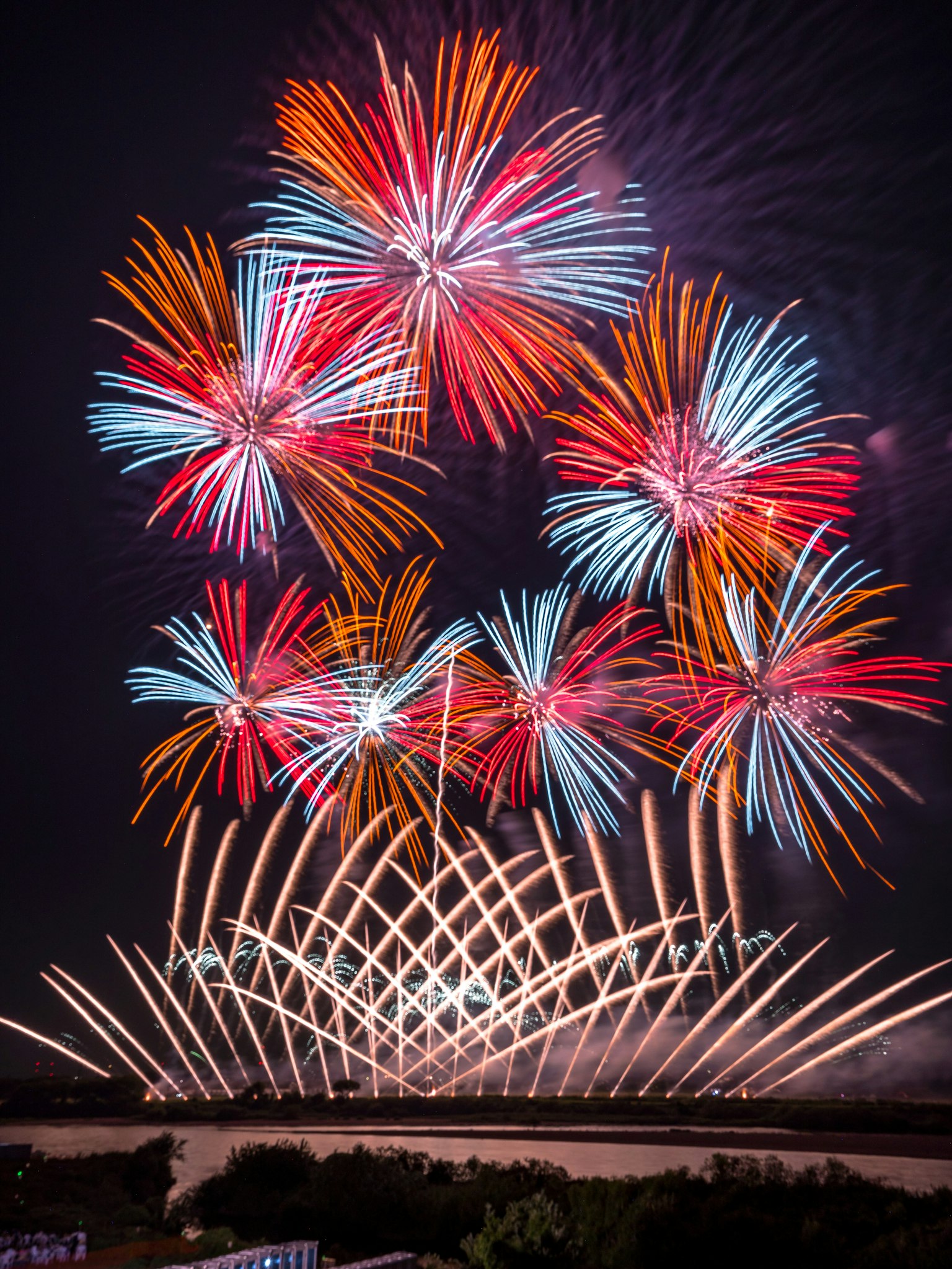 Fuochi d'artificio colorati che fioriscono nel cielo notturno