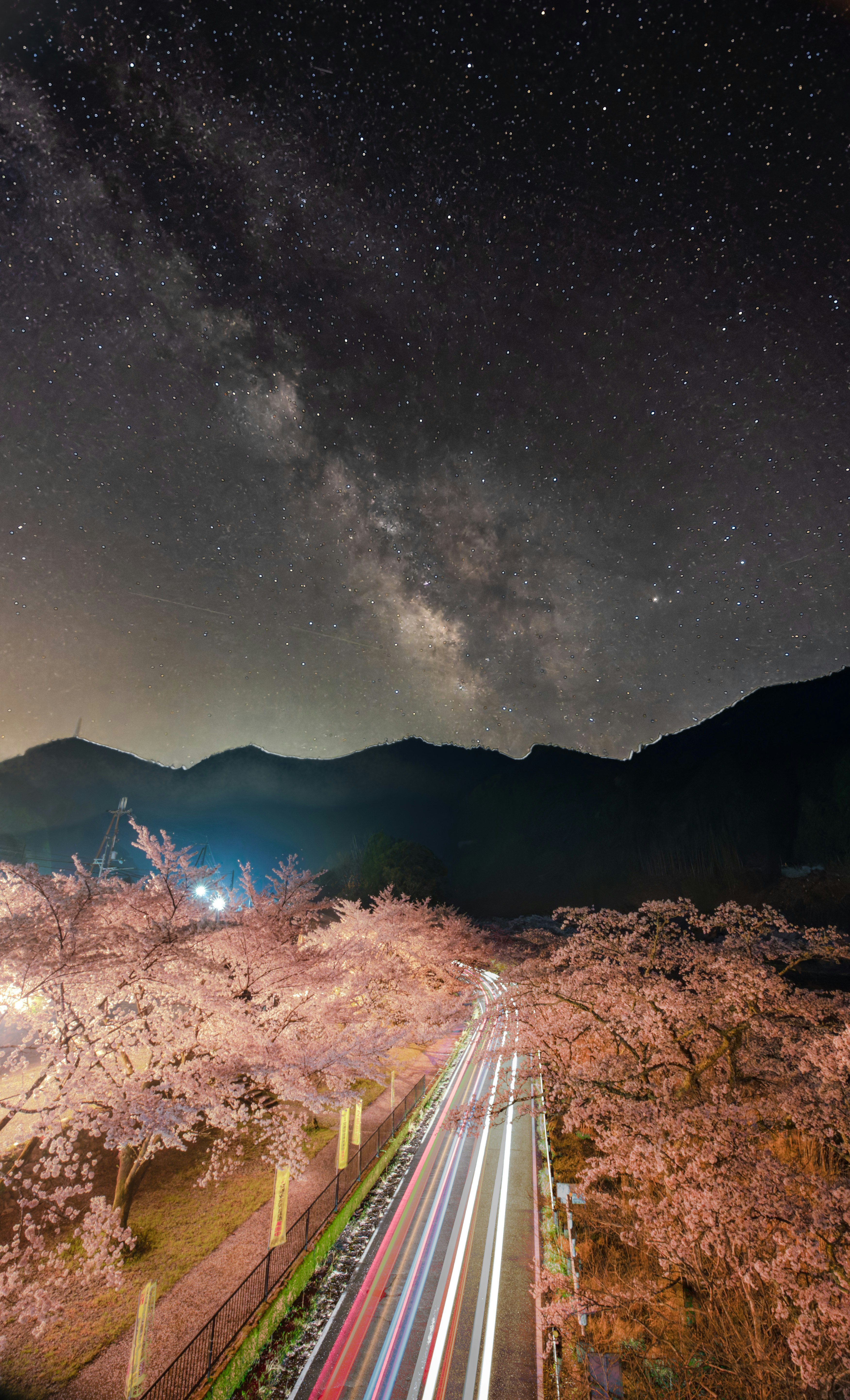 桜並木の道と天の川が見える夜景