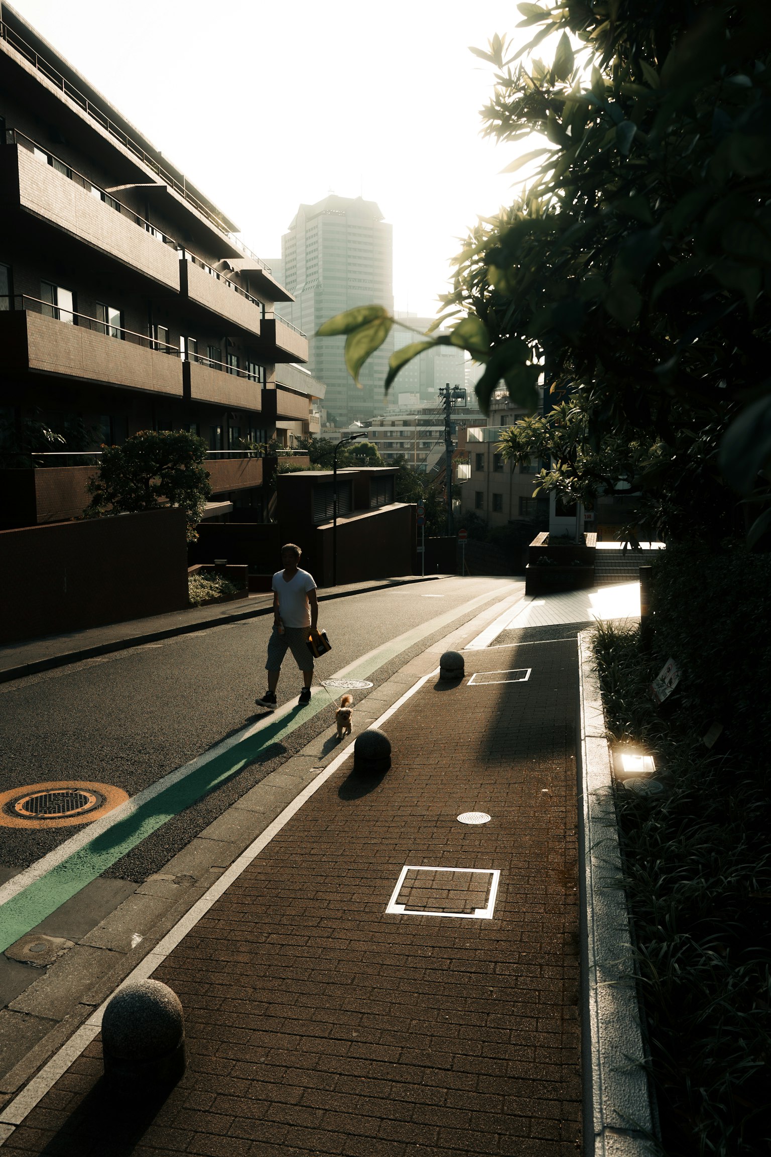 A person walking on a city street bathed in sunset light with buildings