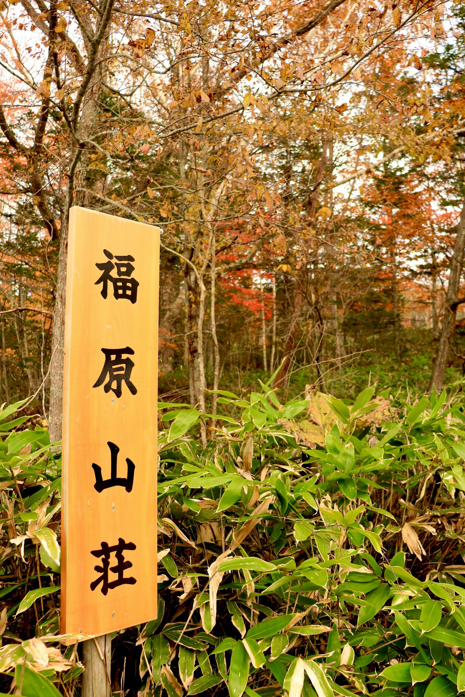 Papan untuk Fukuhara Sanso dalam pemandangan musim gugur