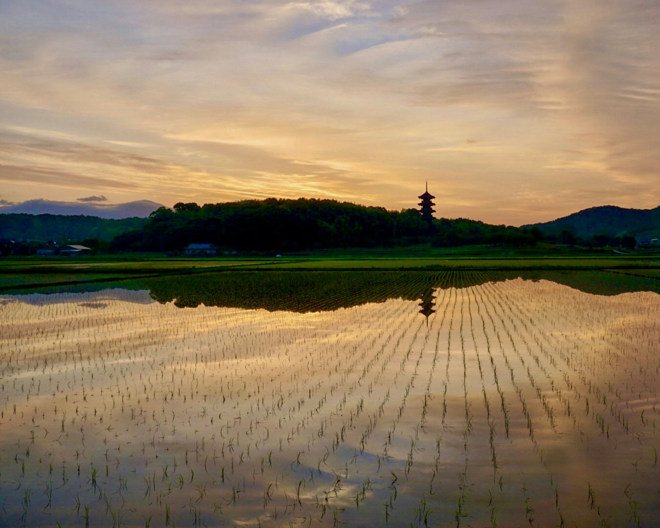 岡山県総社市の備中国分寺前の水田に広がる朝焼けのリフレクション