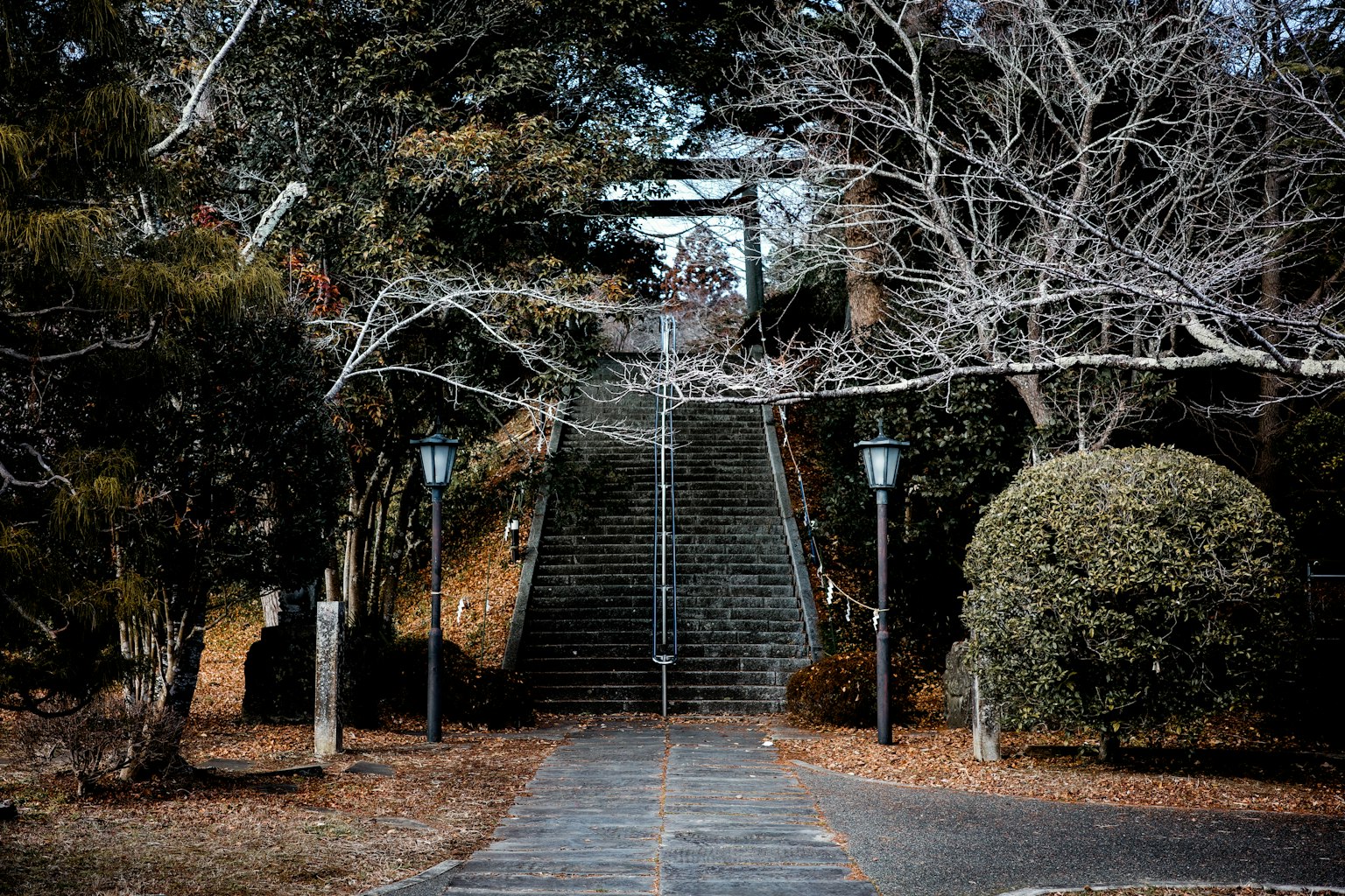 Serene park scene featuring stone steps and bare trees