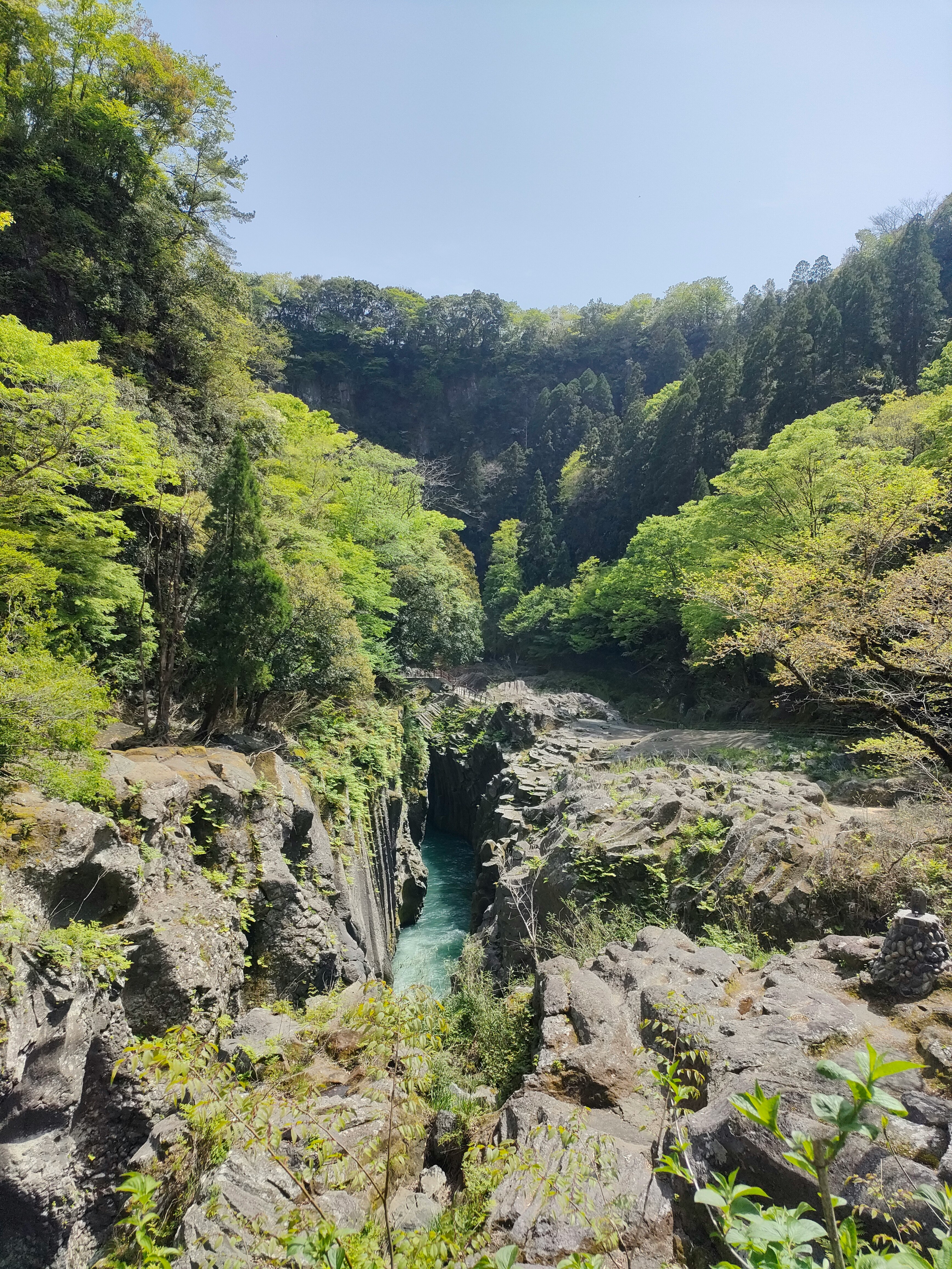 青翠峡谷中的瀑布景观（高千穂）