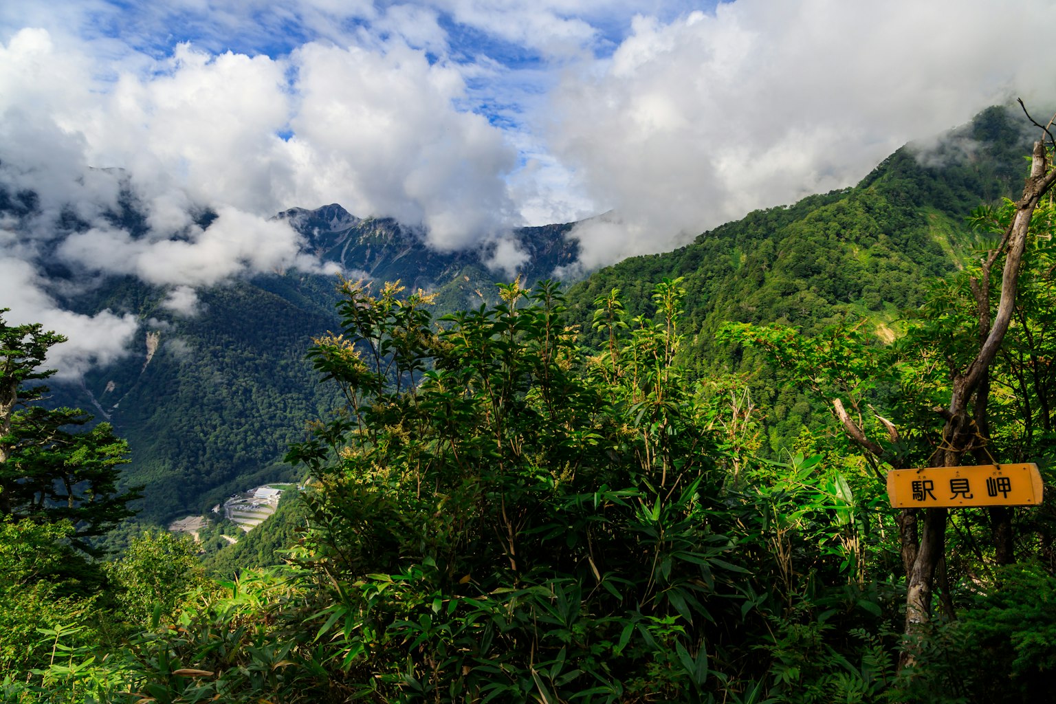 Montagne verdeggianti con cielo nuvoloso