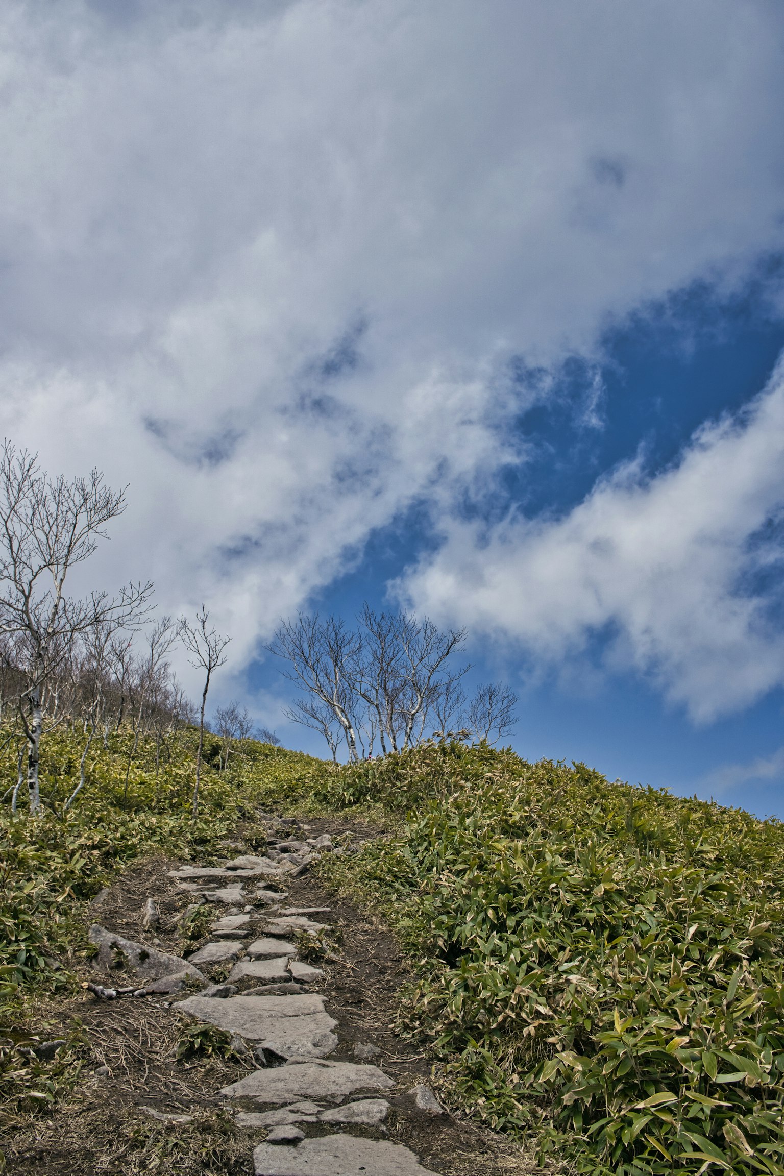 Camino de piedra que sube a través de la hierba verde bajo un cielo azul con nubes blancas