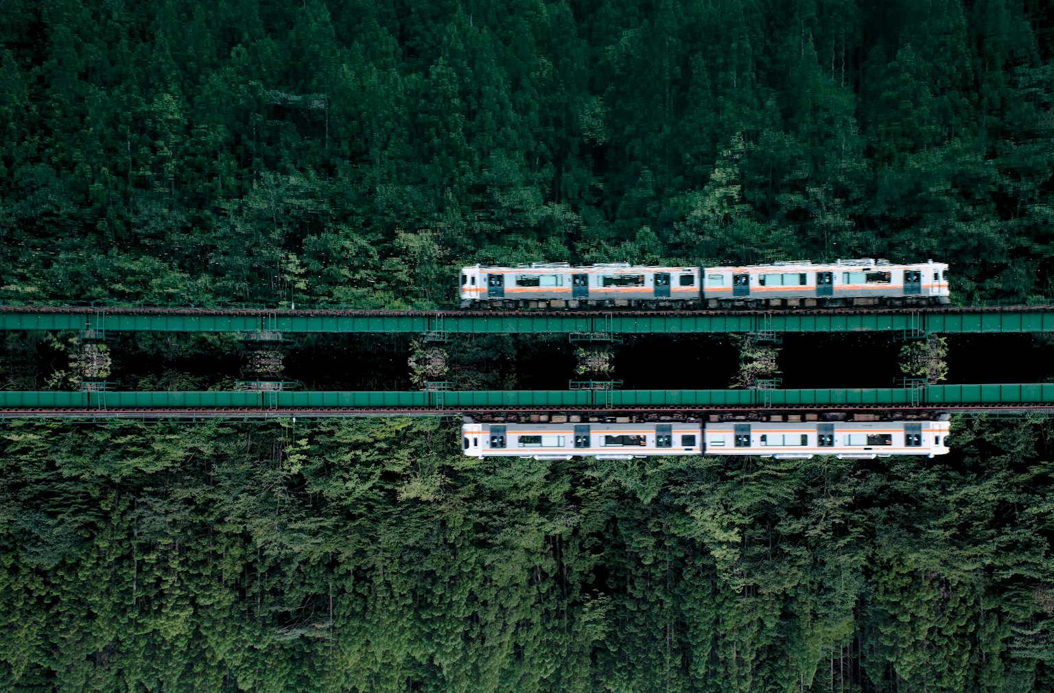 มุมมองจากอากาศของรถไฟบนรางที่ถูกปกคลุมด้วยป่าเขียวขจีสะท้อนในน้ำ