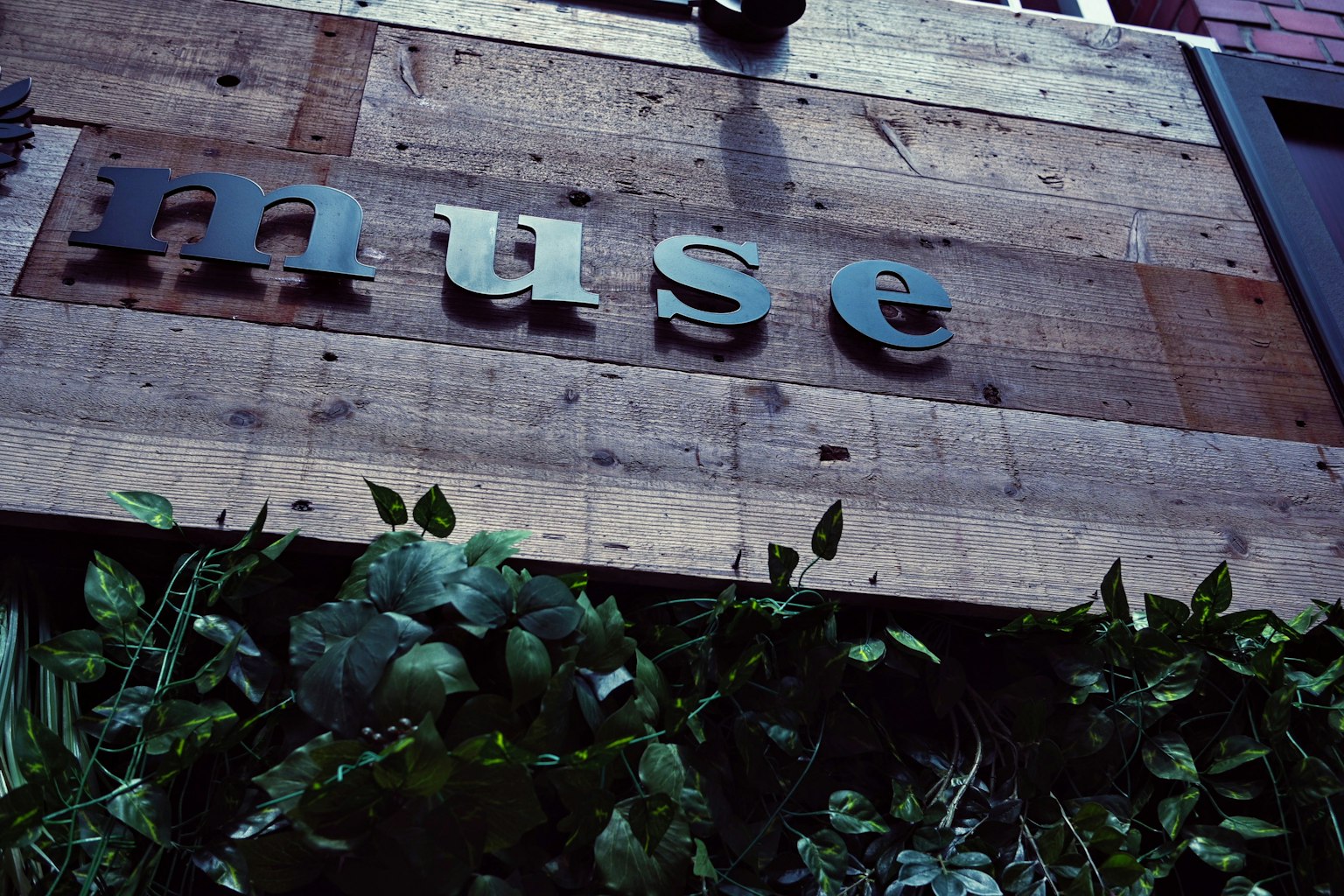 ป้ายไม้ที่มีคำว่า muse และพื้นหลังที่มีความเขียวขจี