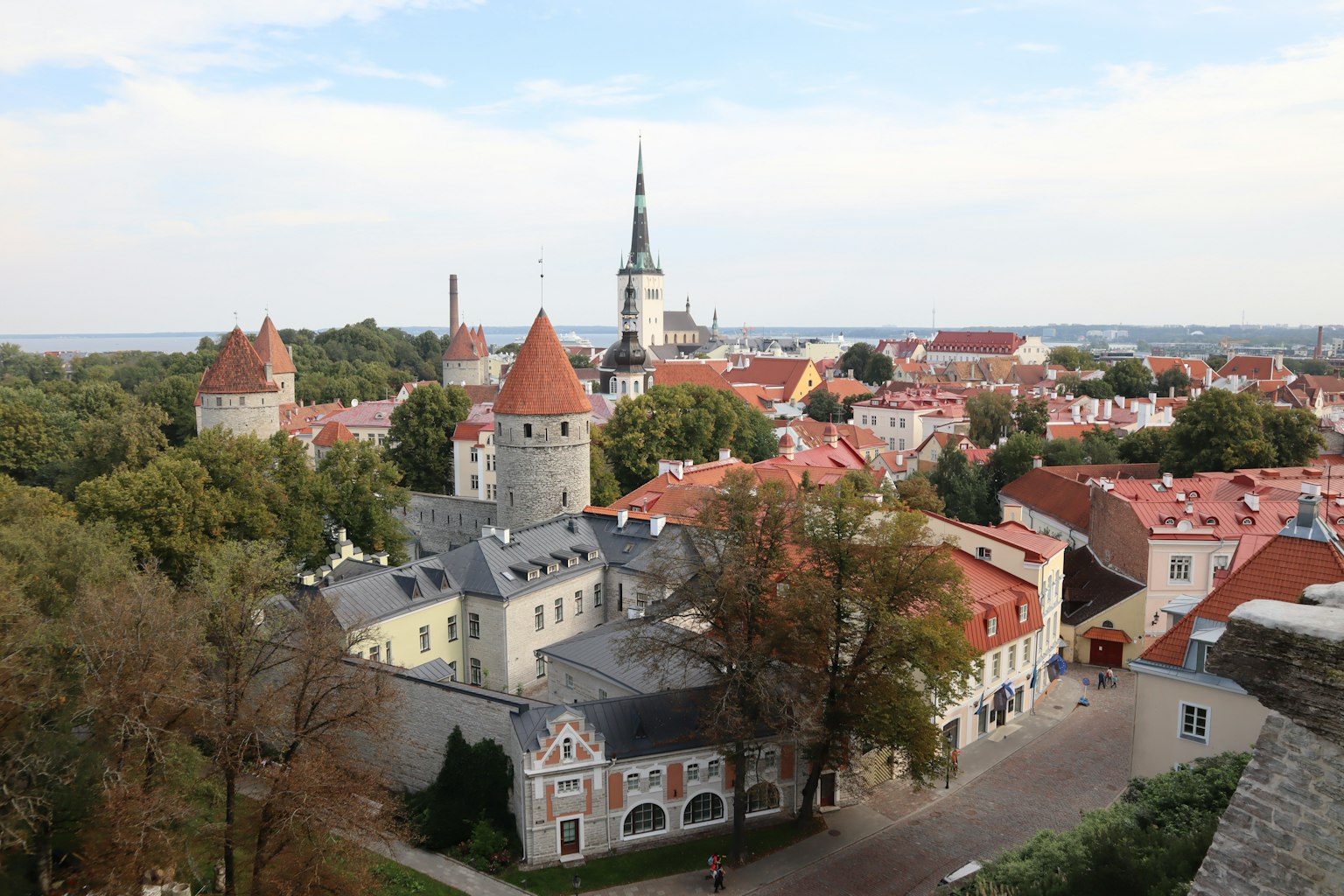 Historische Skyline von Tallinn mit roten Dächern