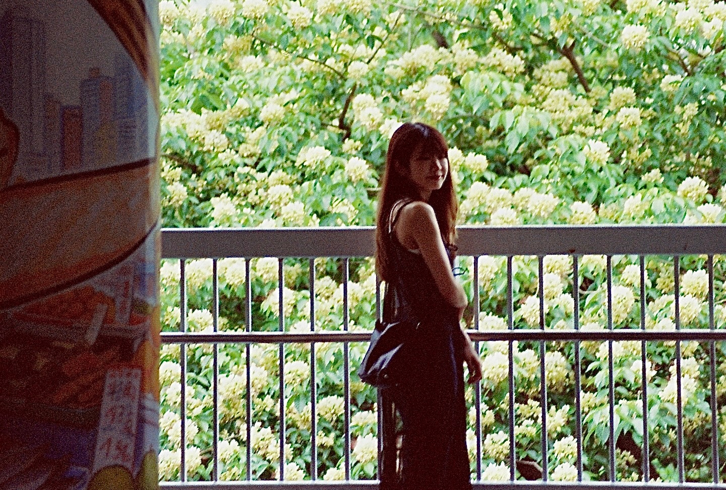 花畑を背景に柵の前に立つ女性のシルエット