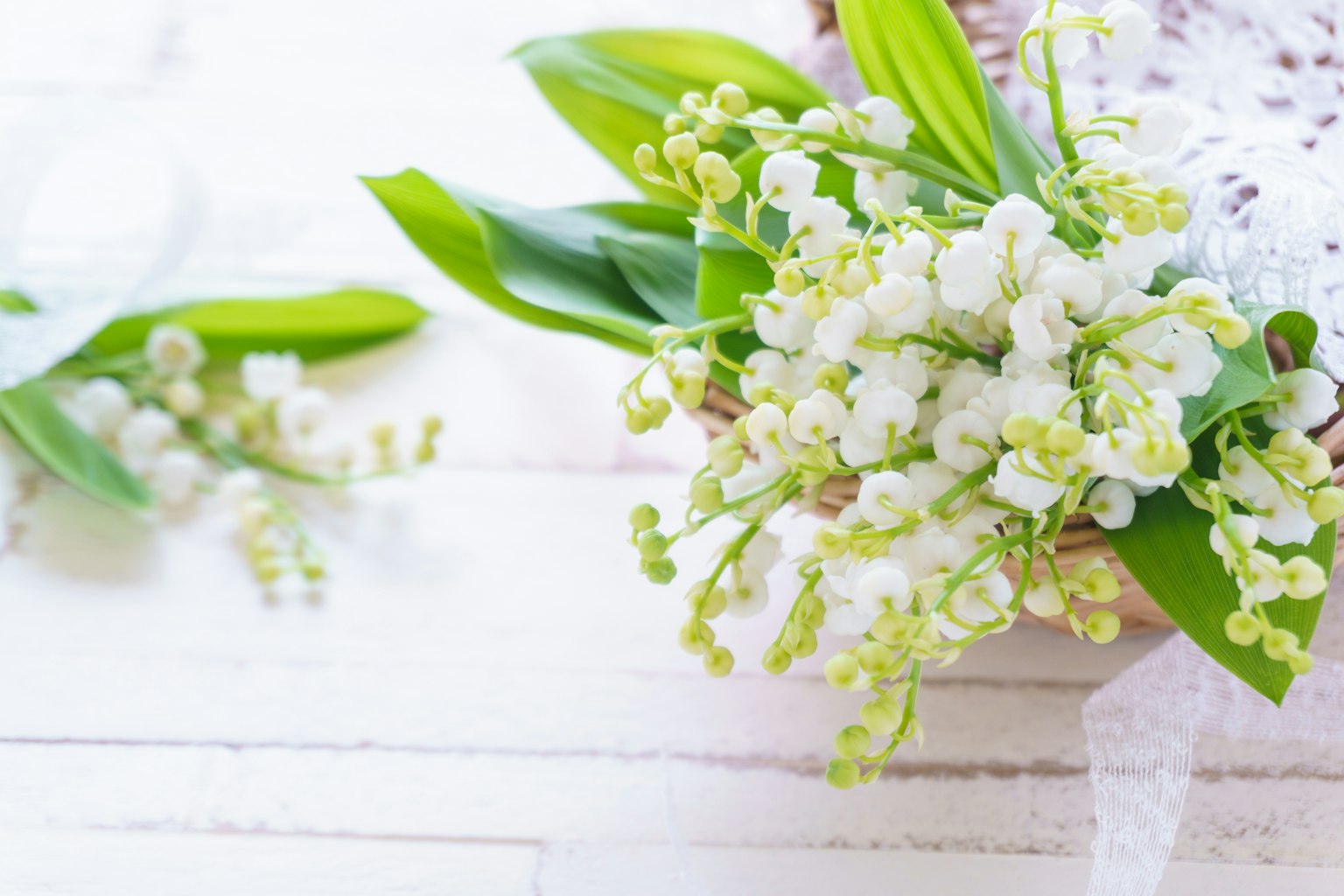 A beautiful arrangement of white lily of the valley flowers with green leaves