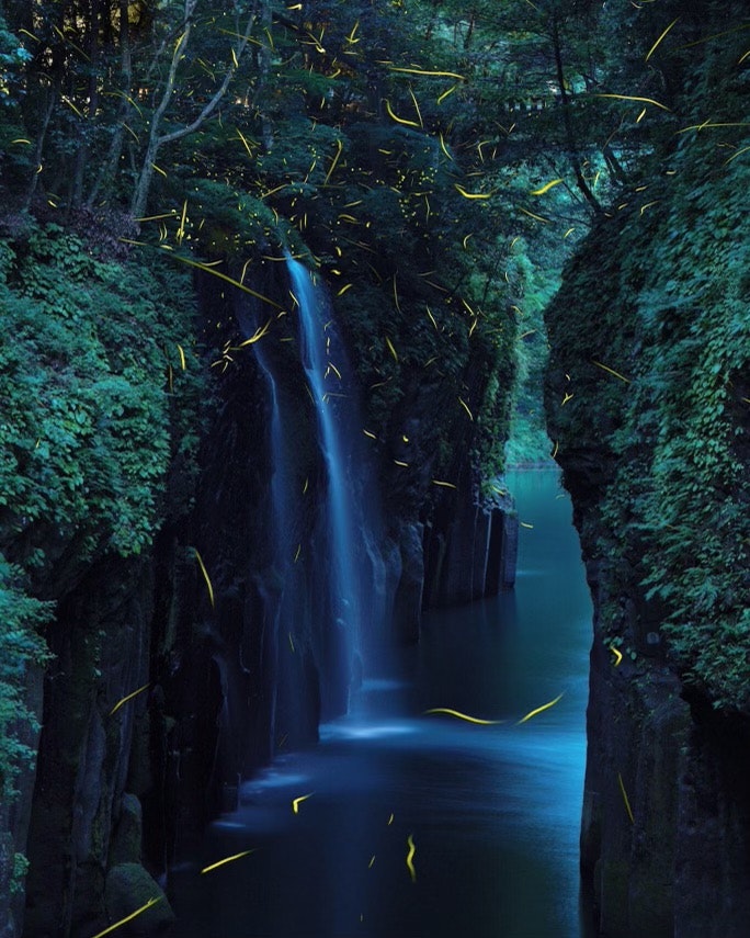 苔むす森の小川を流れる滝の幻想的な光景