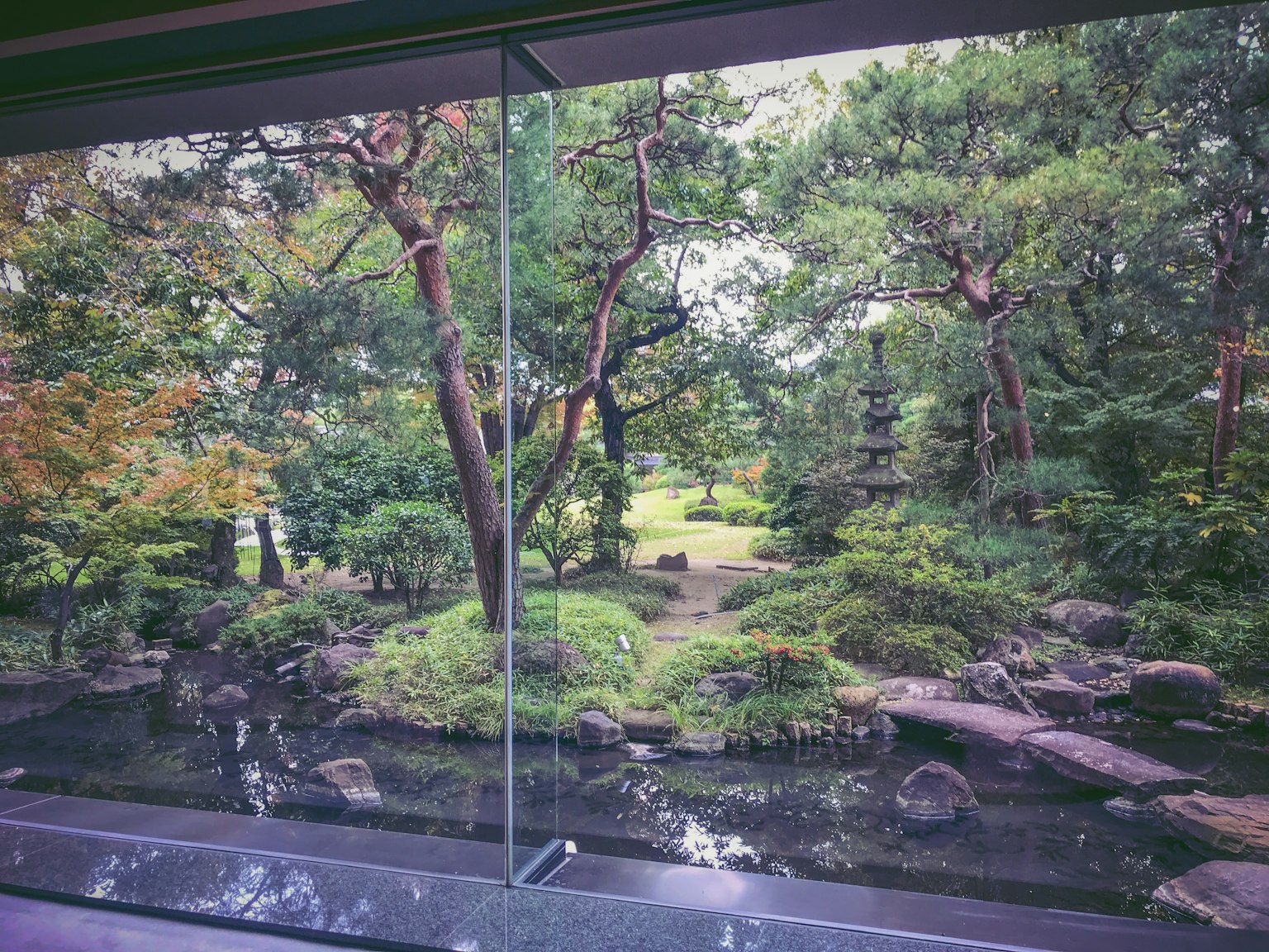 Vista serena del giardino attraverso il vetro con vegetazione lussureggiante e un tranquillo stagno