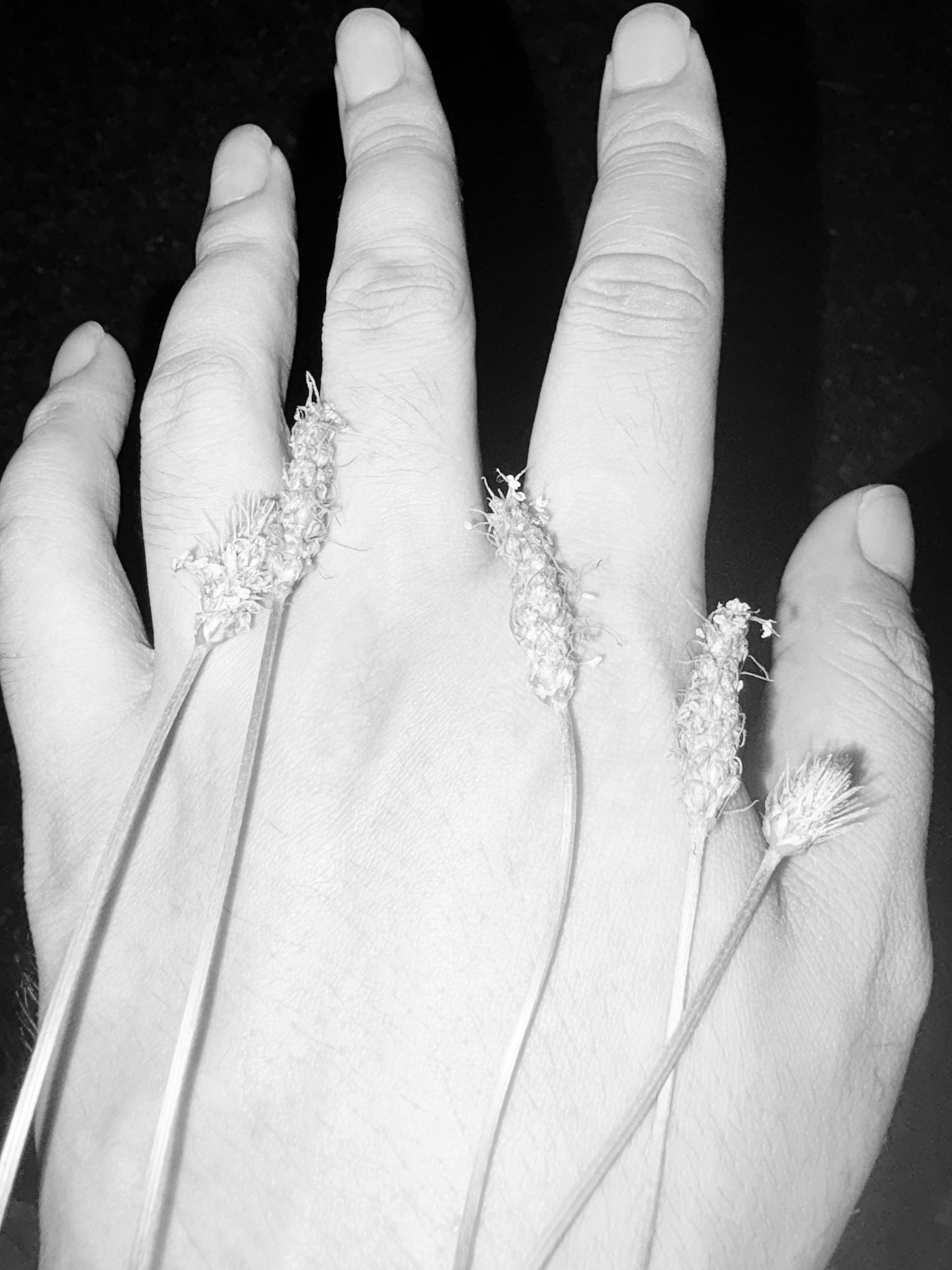 photo-NaZQRDx81vl4c6K93Sim-image