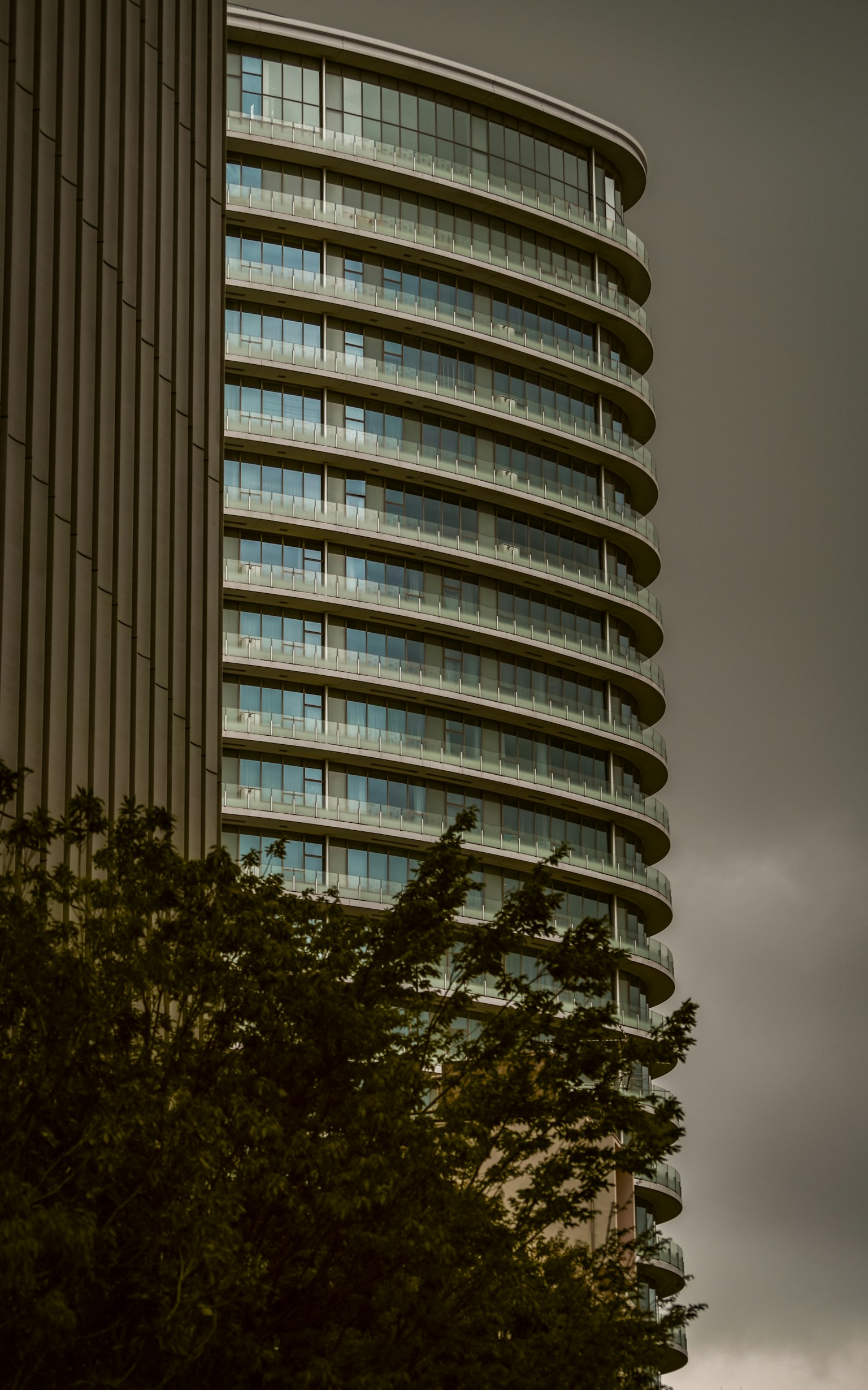 곡선 유리 창이 있는 현대적인 고층 건물의 측면과 기초에 있는 녹지
