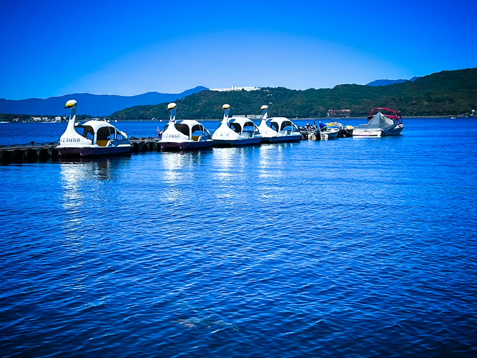 photo-NbmQciq8ymQA0Kpb7jGU-image