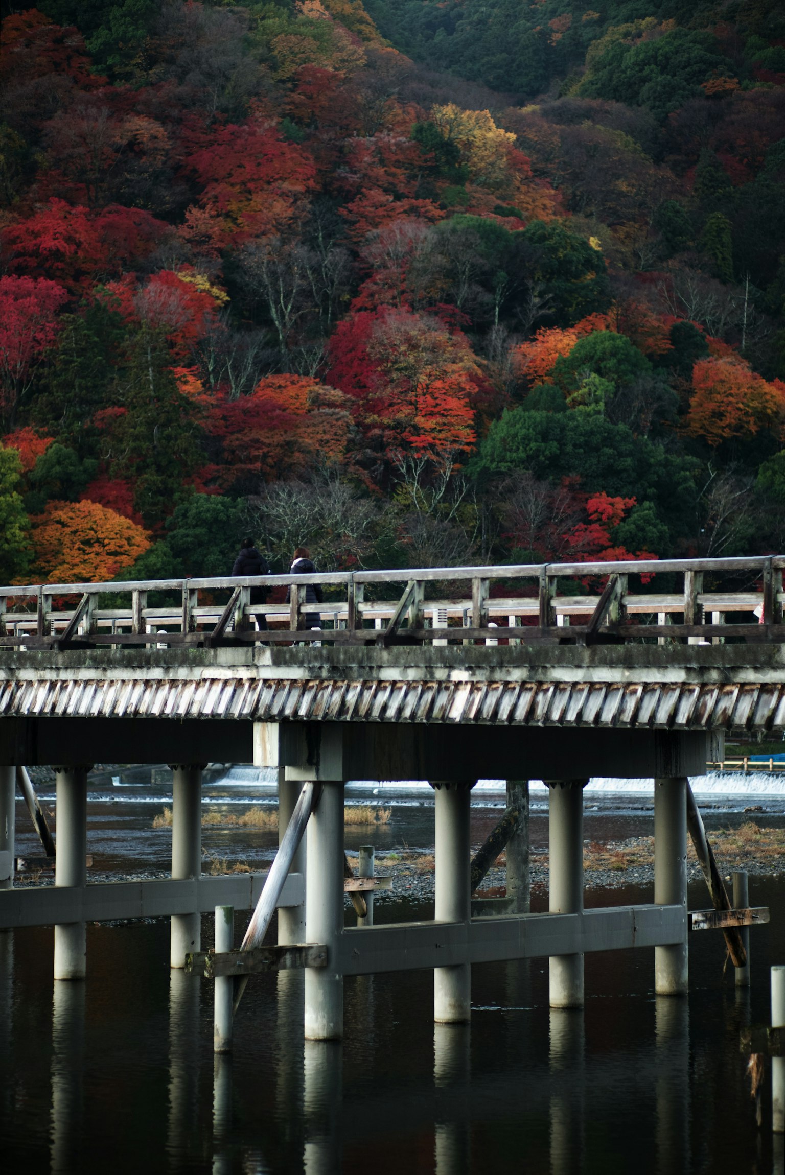 被生動秋葉和寧靜水面環繞的木橋