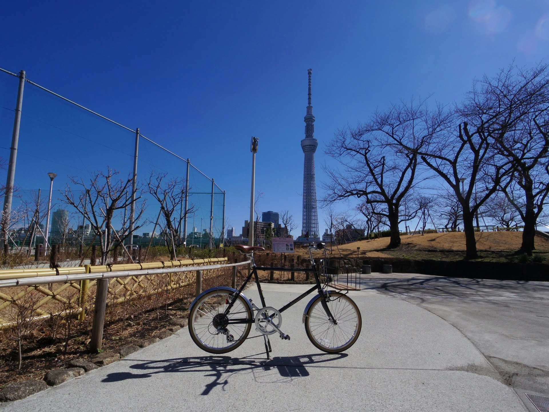 bicicleta en un sendero de parque con la Tokyo Skytree al fondo