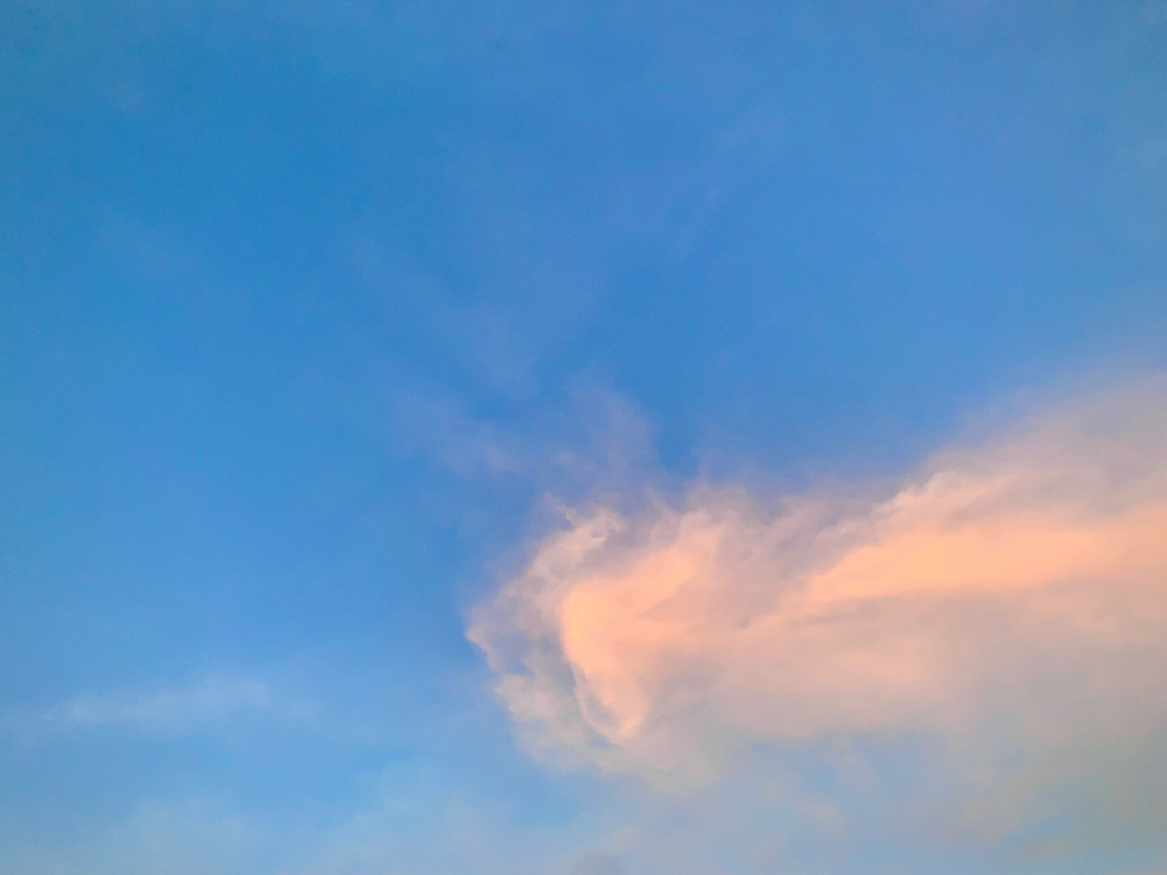 青空に浮かぶ雲の形
