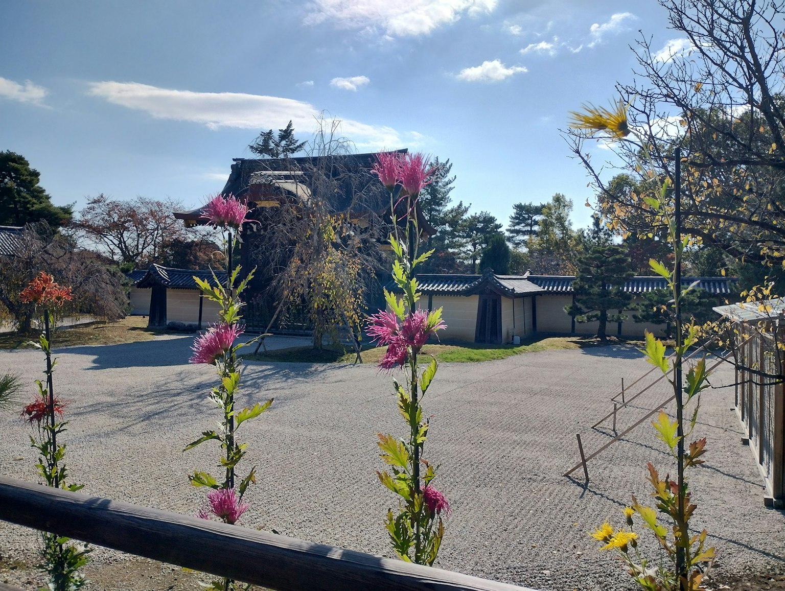 Edificio giapponese tradizionale in un giardino con fiori in fiore